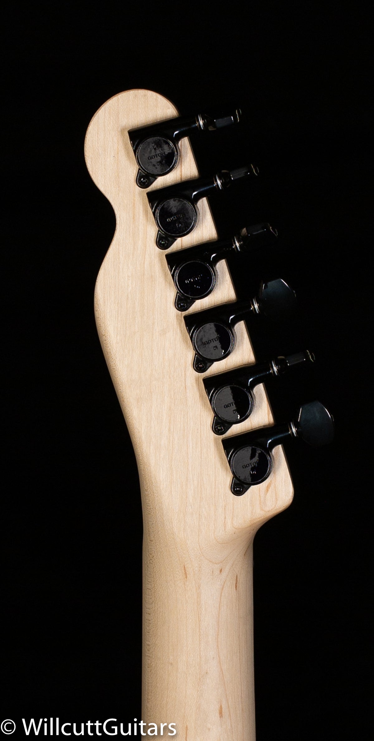 Fender Boxer Series Telecaster HH Rosewood Fingerboard Torino Red (004)