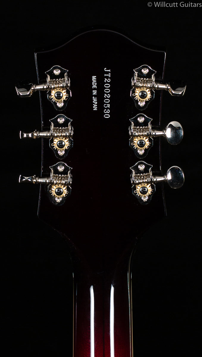 G6119T-62 VINTAGE SELECT EDITION &#39;62 TENNESSEE ROSE™ HOLLOW BODY WITH BIGSBY®