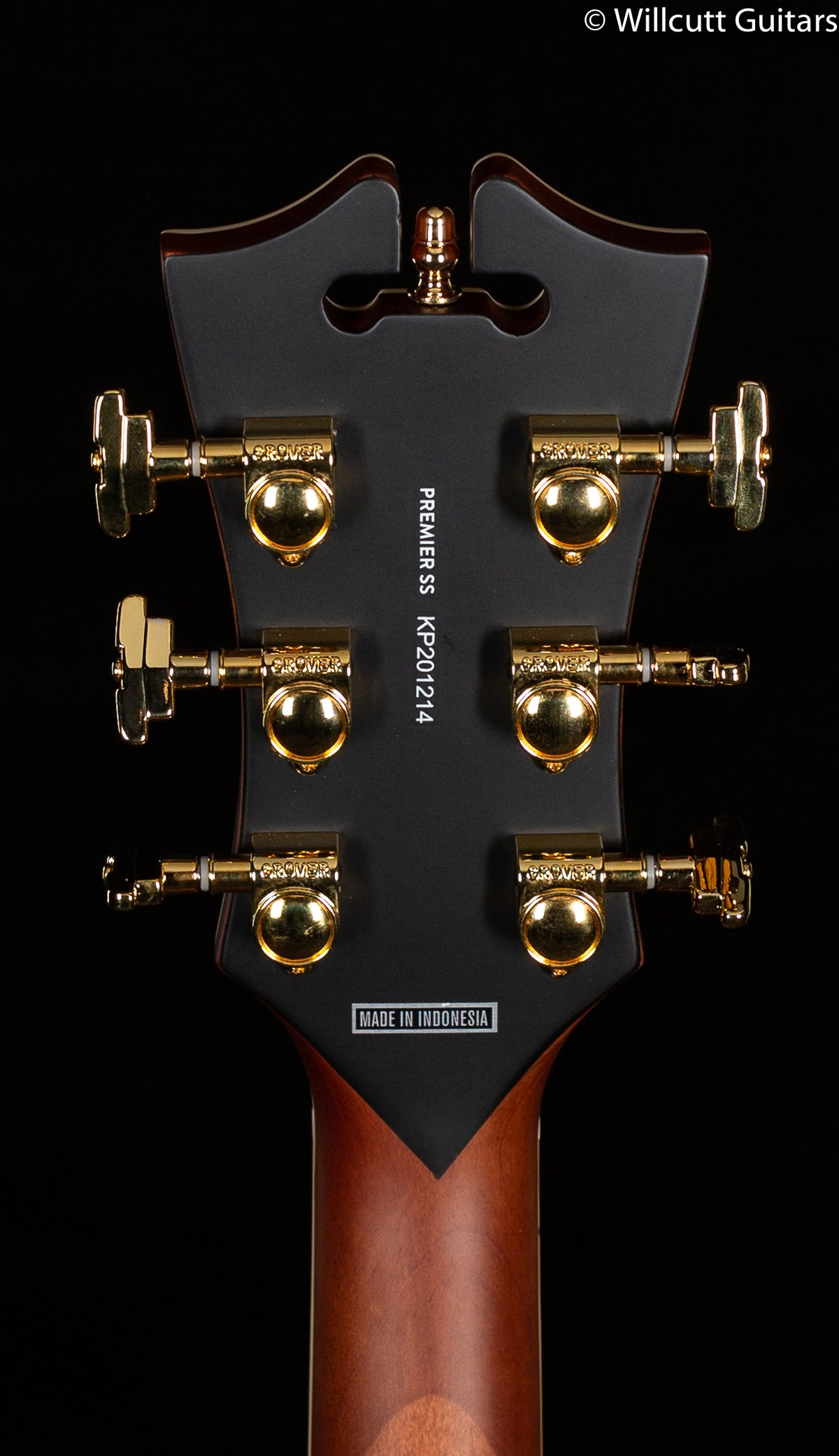 D&#39;angelico Premier Grateful Dead Satin Walnut Custom Artwork