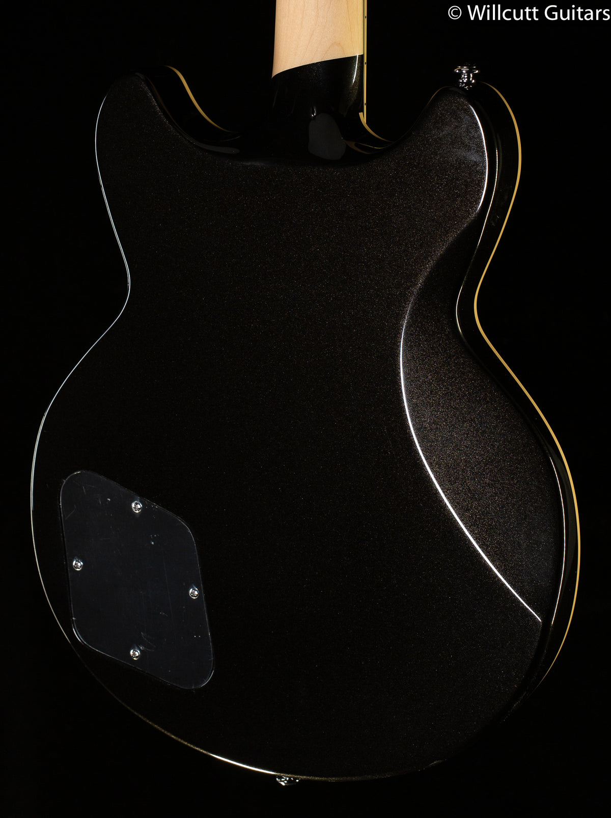 D&#39;Angelico Premier Brighton - Black Flake (497)