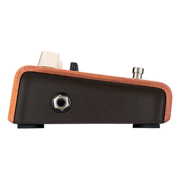 L. R. Baggs ALIGN SERIES EQUALIZER