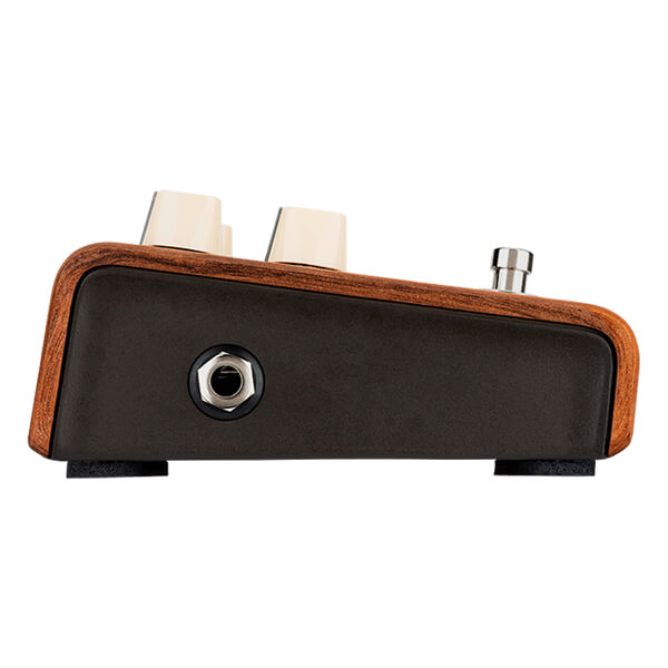 L. R. Baggs ALIGN SERIES REVERB