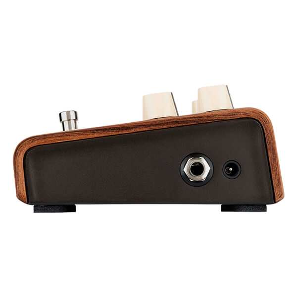 L. R. Baggs ALIGN SERIES REVERB