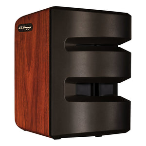 L. R. Baggs Synapse Personal PA System