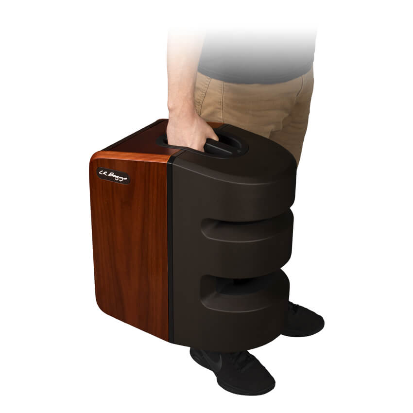 L. R. Baggs Synapse Personal PA System