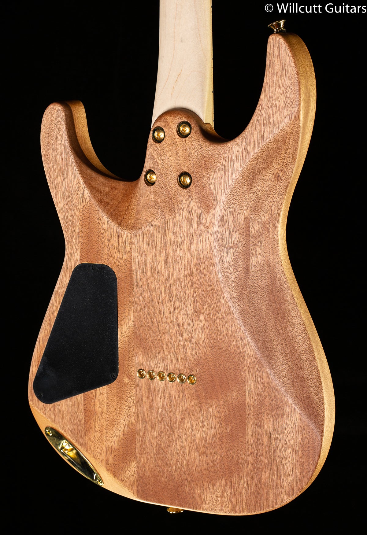 Charvel Pro-Mod DK24 HH HT Mahogany with Figured Walnut