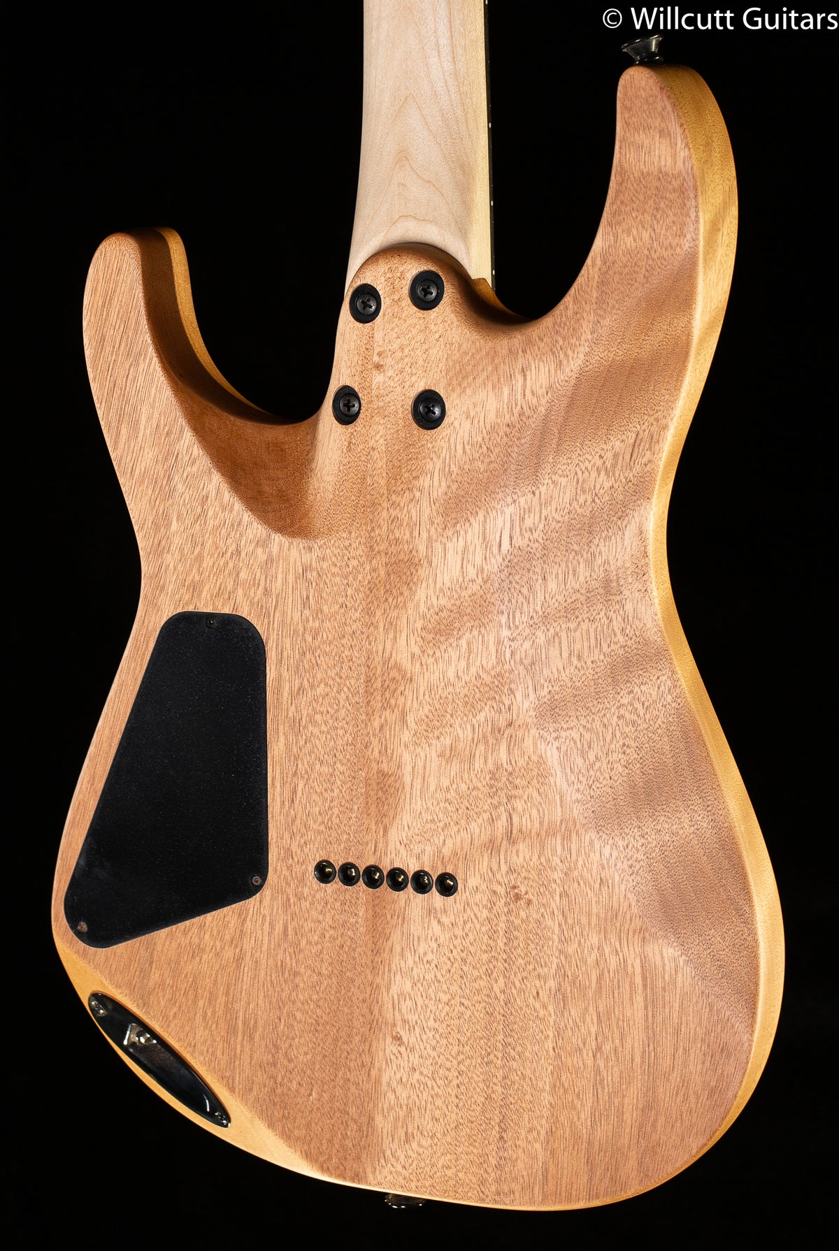 Charvel  Pro-Mod DK24 HH HT E Mahogany with Poplar Burl Desert Sand (685)