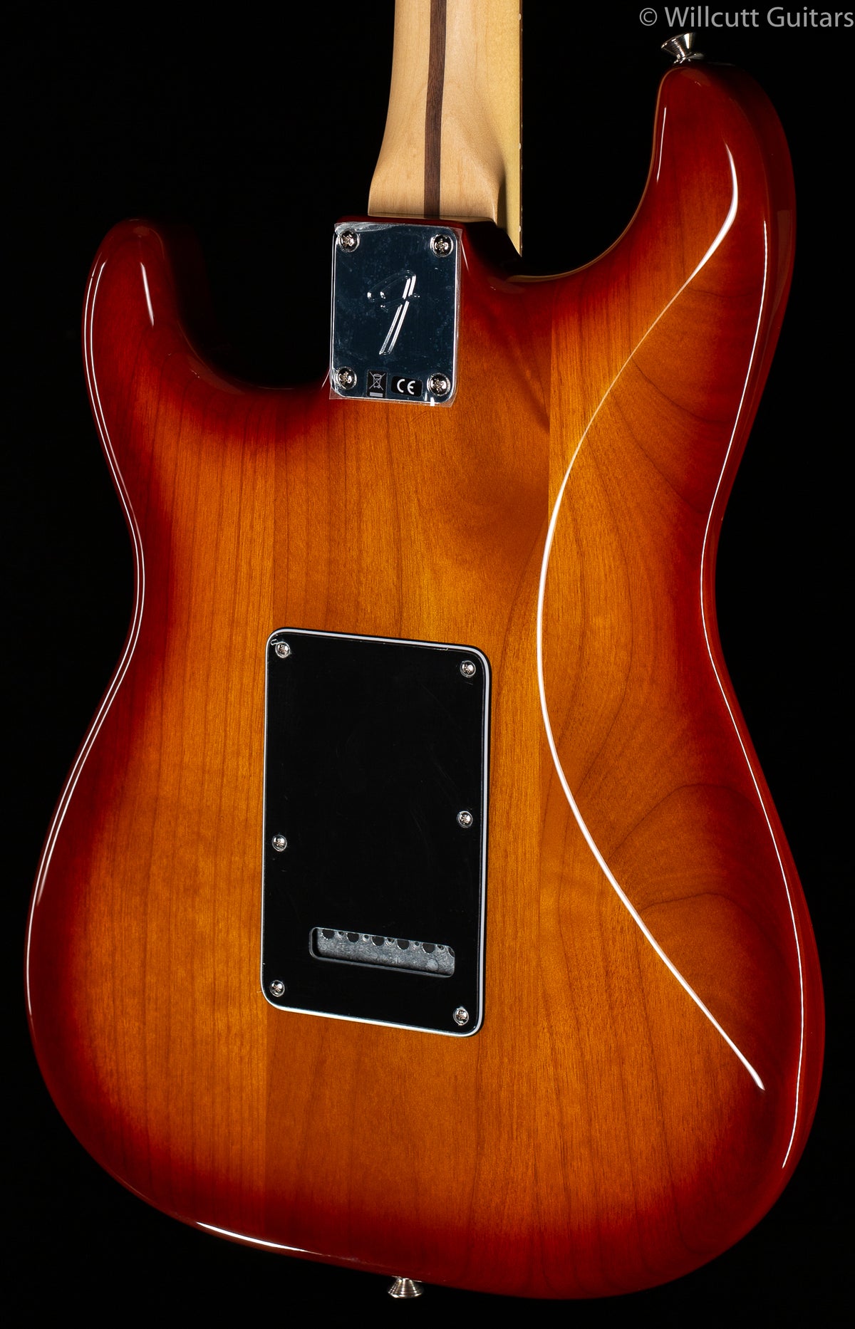 Fender Player Stratocaster® Plus Top, Pau Ferro Fingerboard, Tobacco Sunburst (697)