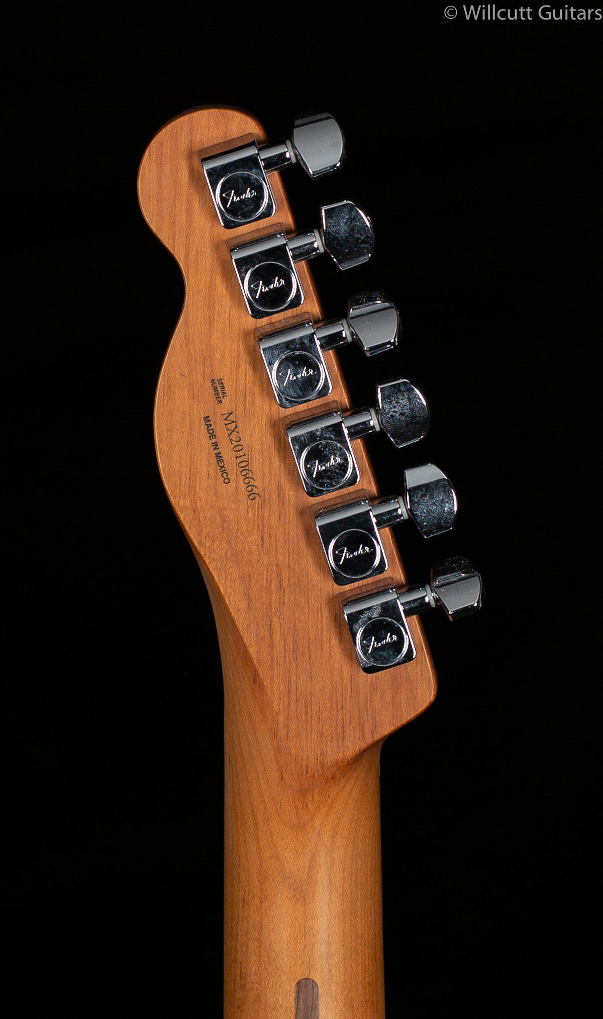 Fender Limited Edition Player Telecaster Roasted Maple Neck Butterscotch