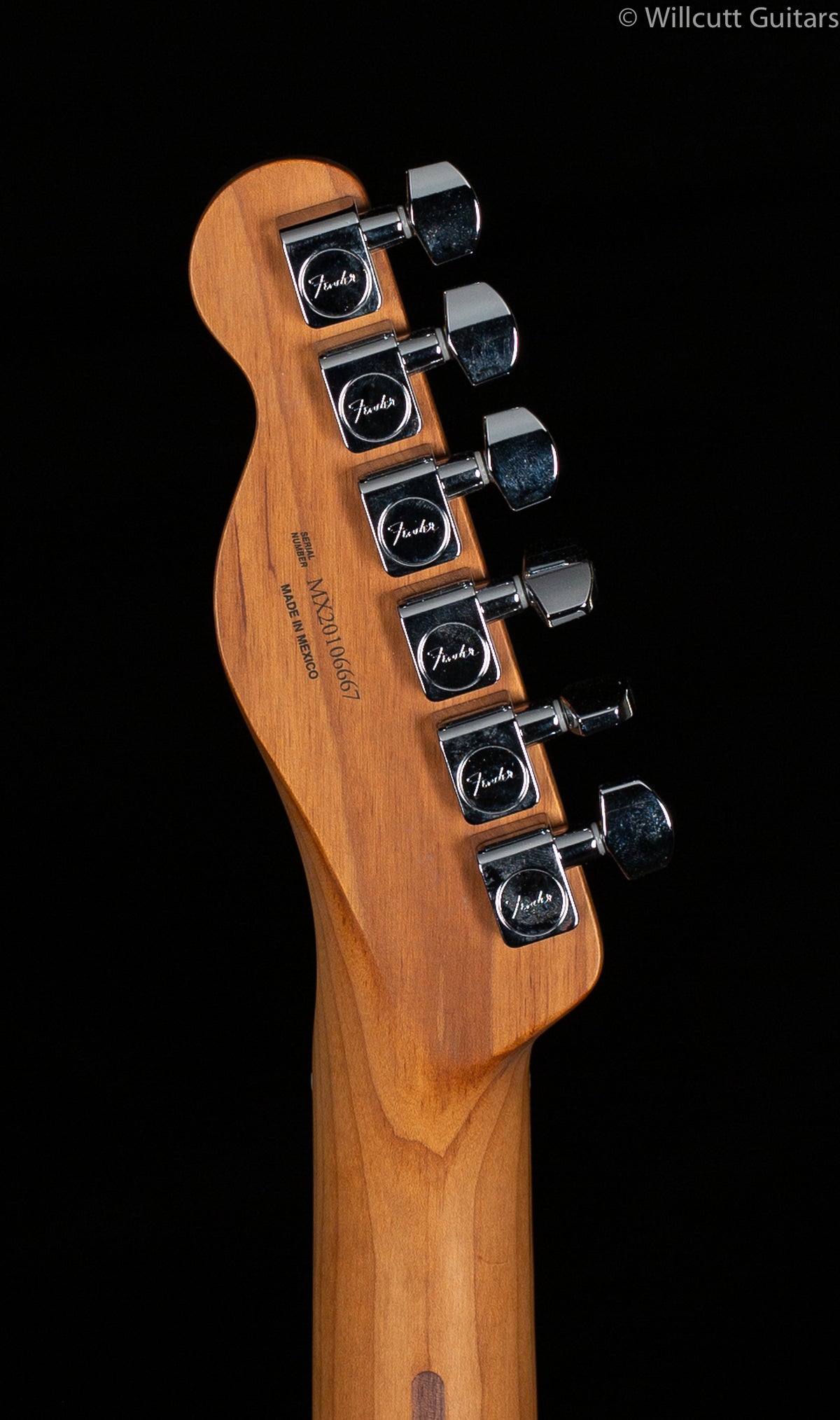 Fender Limited Edition Player Telecaster Roasted Maple Neck Butterscotch