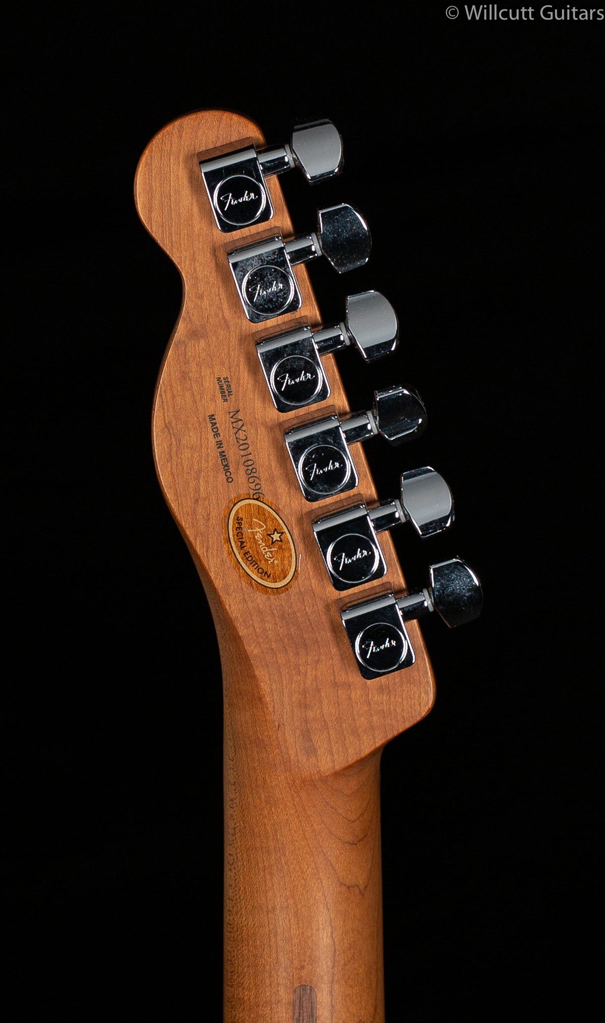 Fender Limited Edition Player Telecaster Roasted Maple Neck Butterscotch