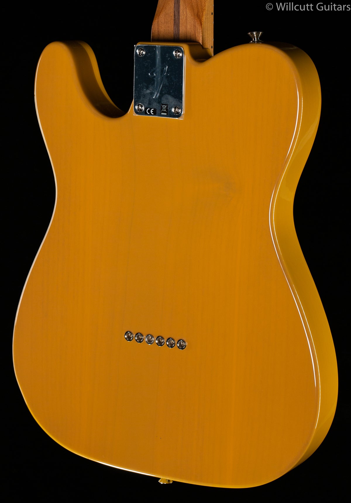 Fender Limited Edition Player Telecaster Roasted Maple Neck Butterscotch