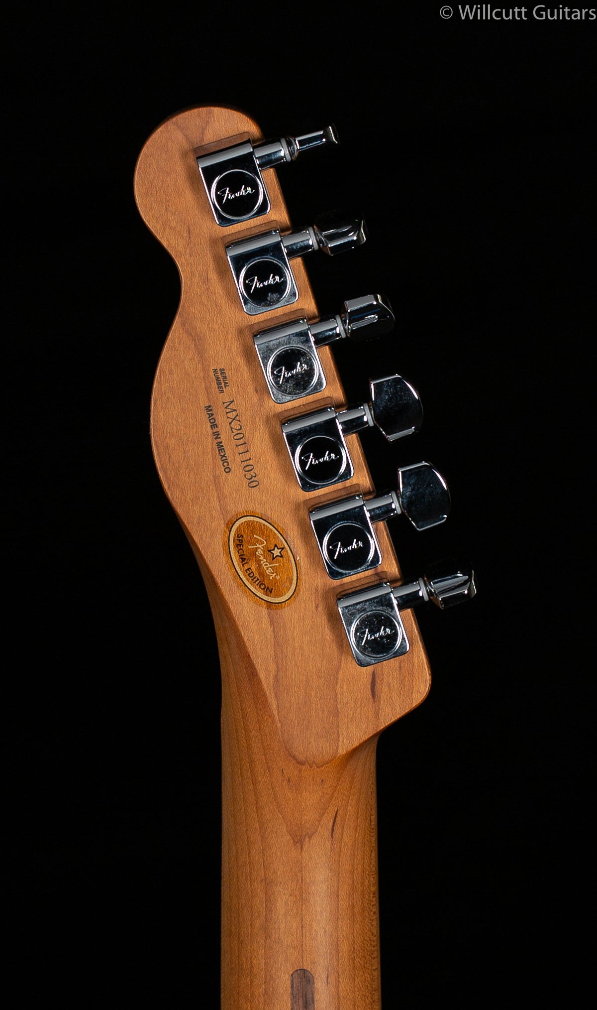 Fender Limited Edition Player Telecaster Roasted Maple Neck Butterscotch