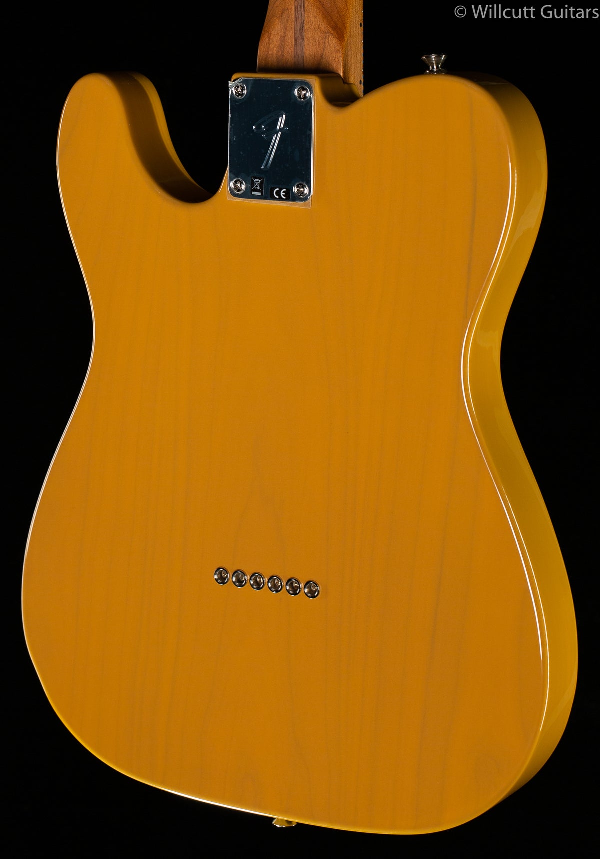 Fender Limited Edition Player Telecaster Roasted Maple Neck Butterscotch