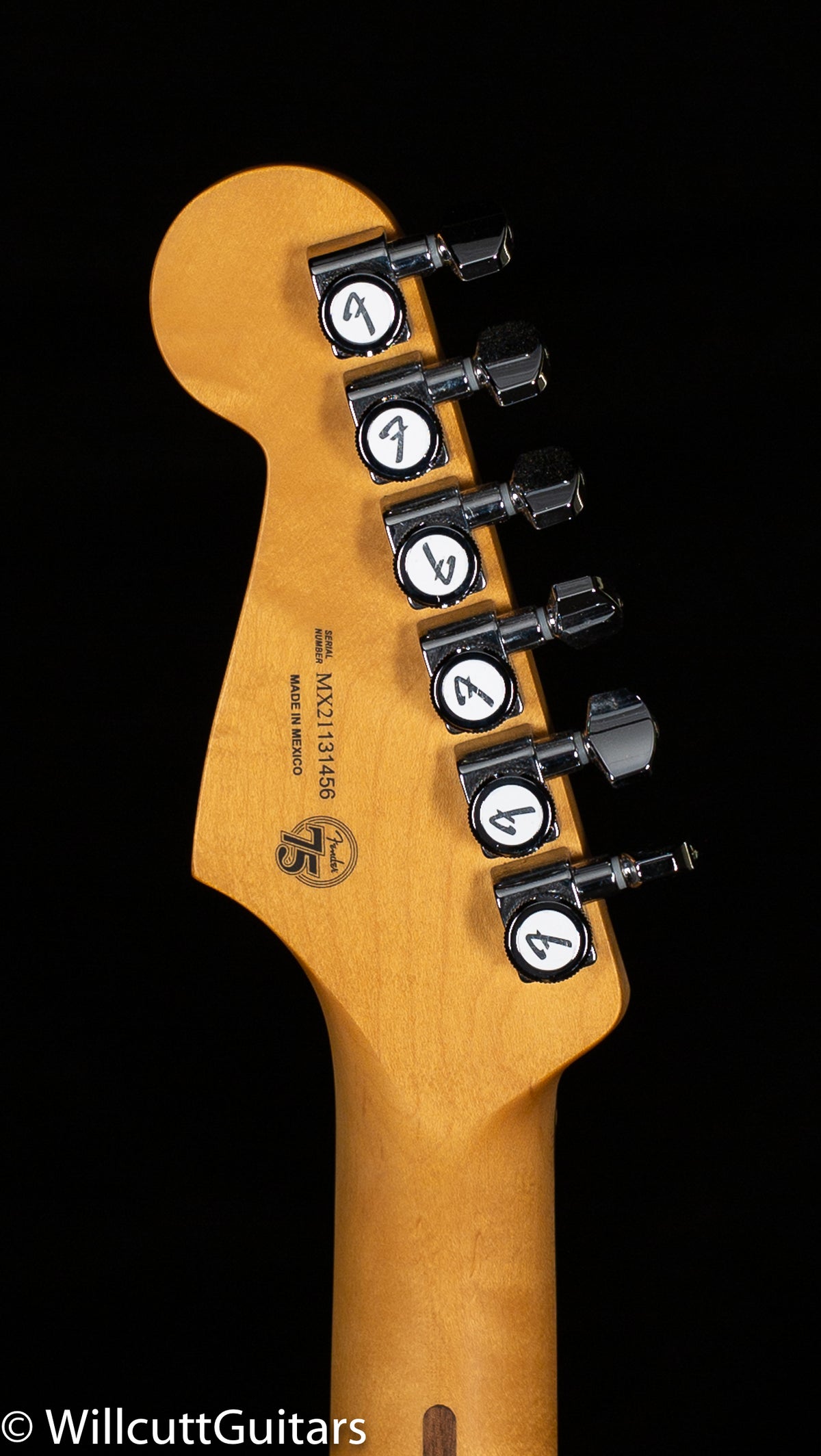 Fender Player Plus Stratocaster HSS Belair Blue Pau Ferro Fingerboard (456)