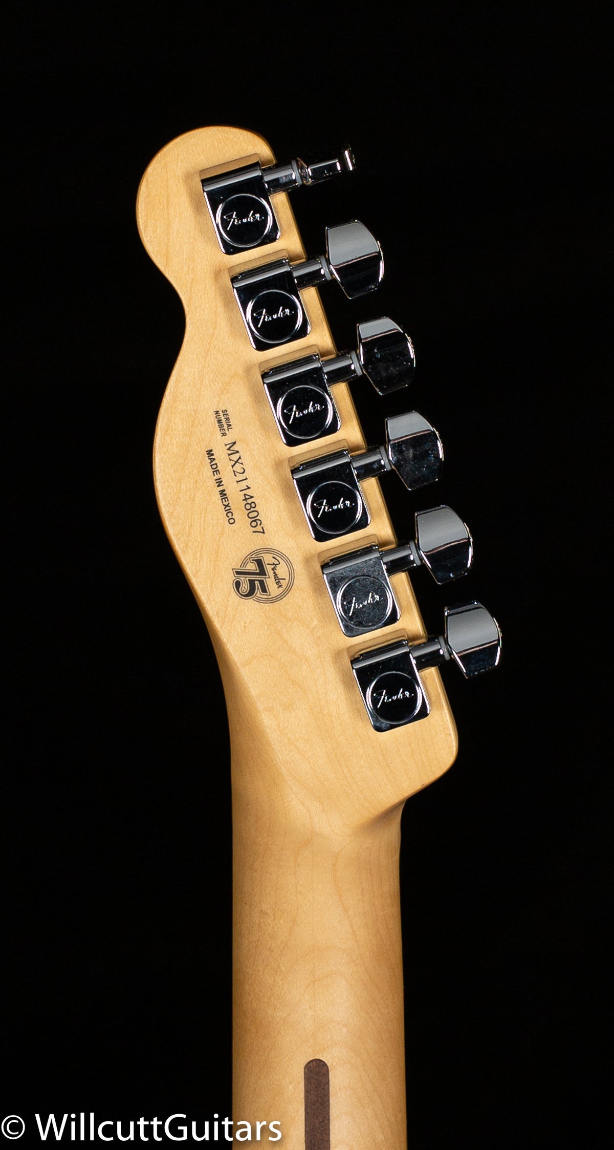 Fender Player Telecaster Tidepool Maple Fingerboard (067)