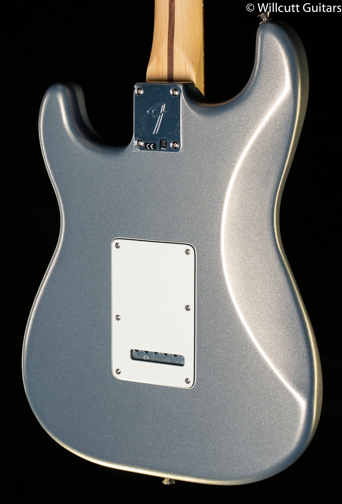 Fender Player Stratocaster Pau Ferro Silver (471)