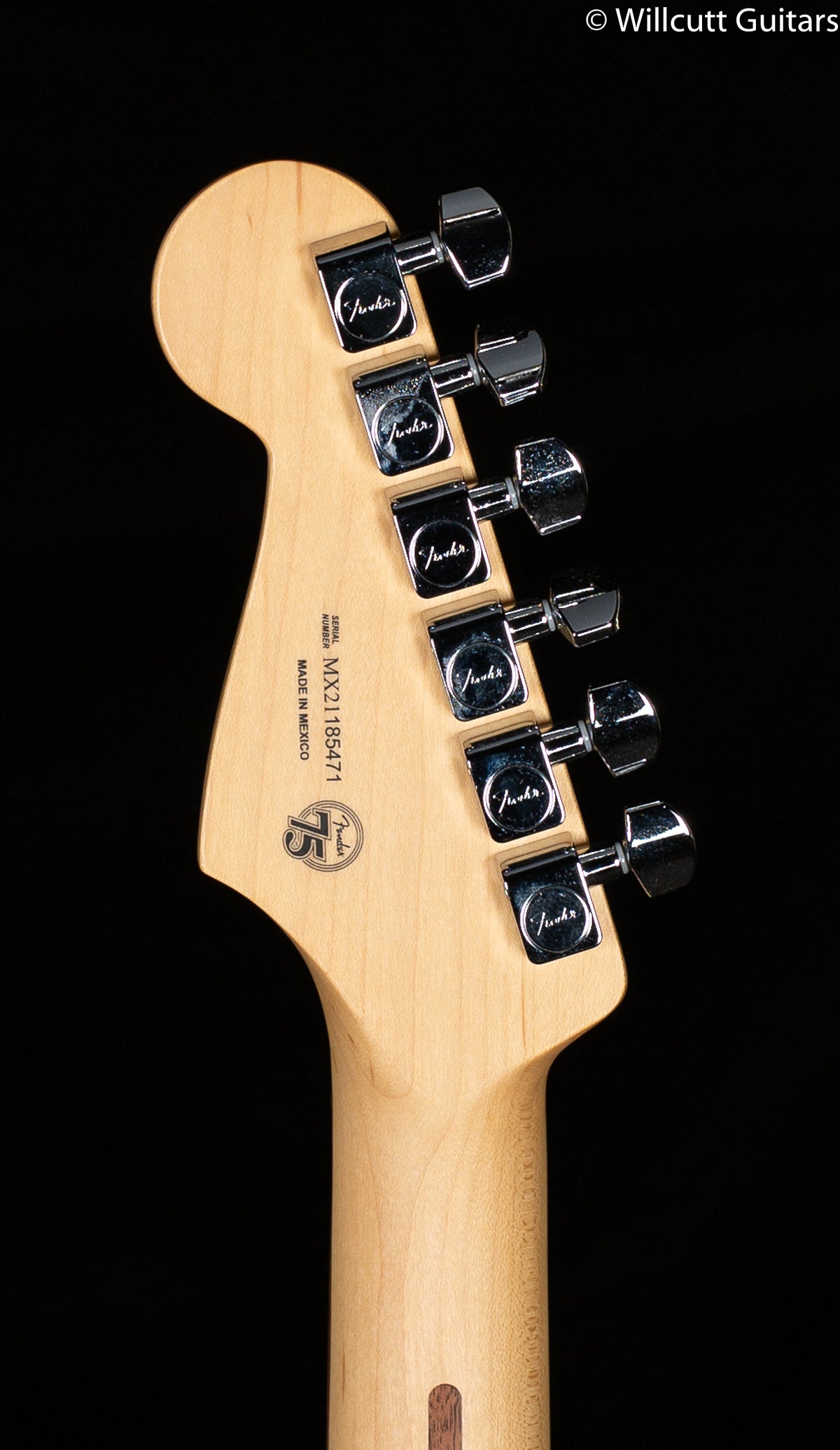 Fender Player Stratocaster Pau Ferro Silver (471)