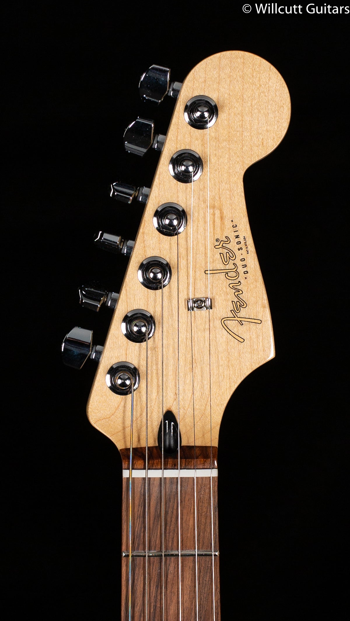 Fender Player Duo Sonic Pau Ferro Fingerboard Seafoam Green
