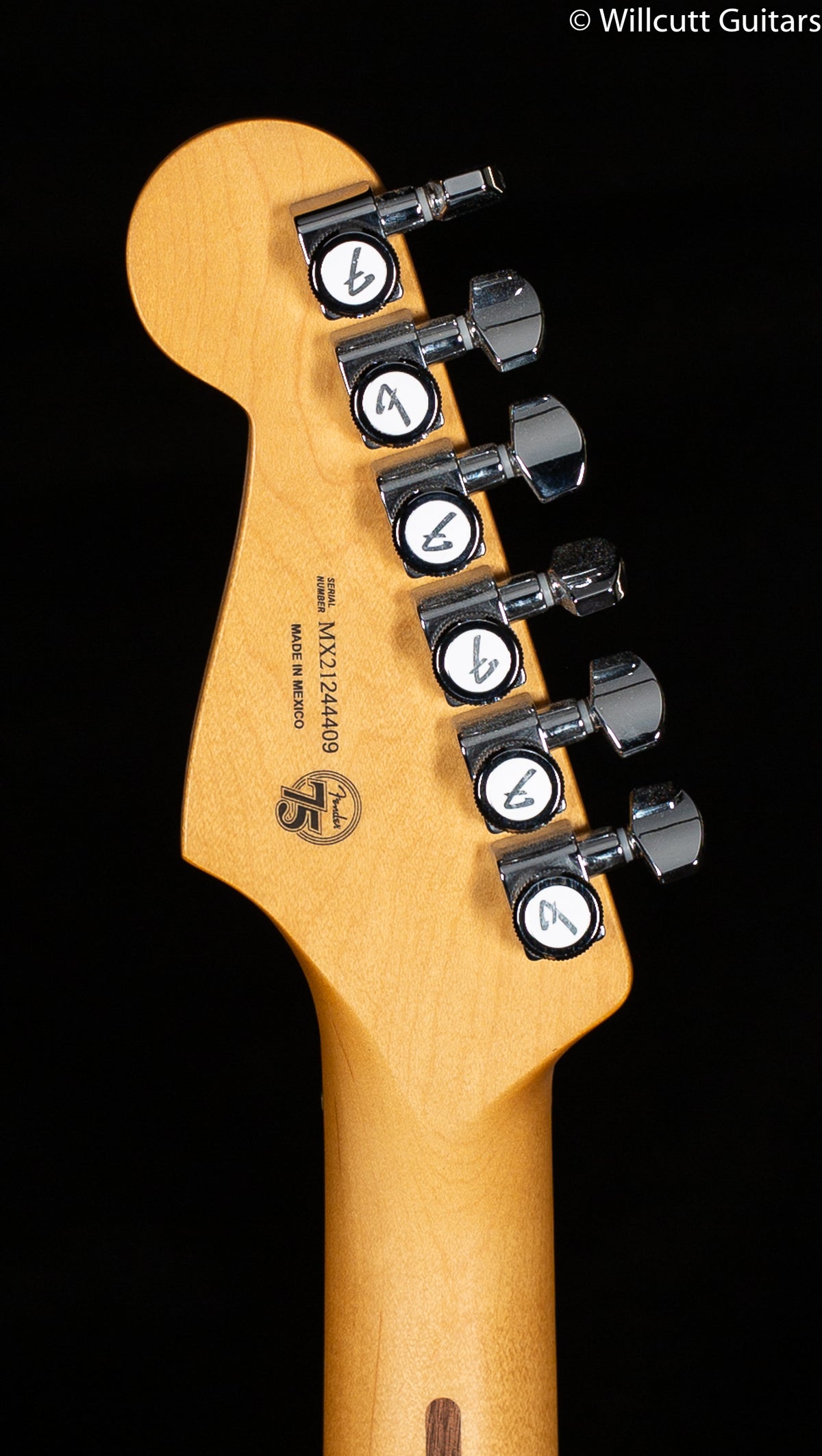 Fender Player Plus Stratocaster Opal Spark Pau Ferro Fingerboard