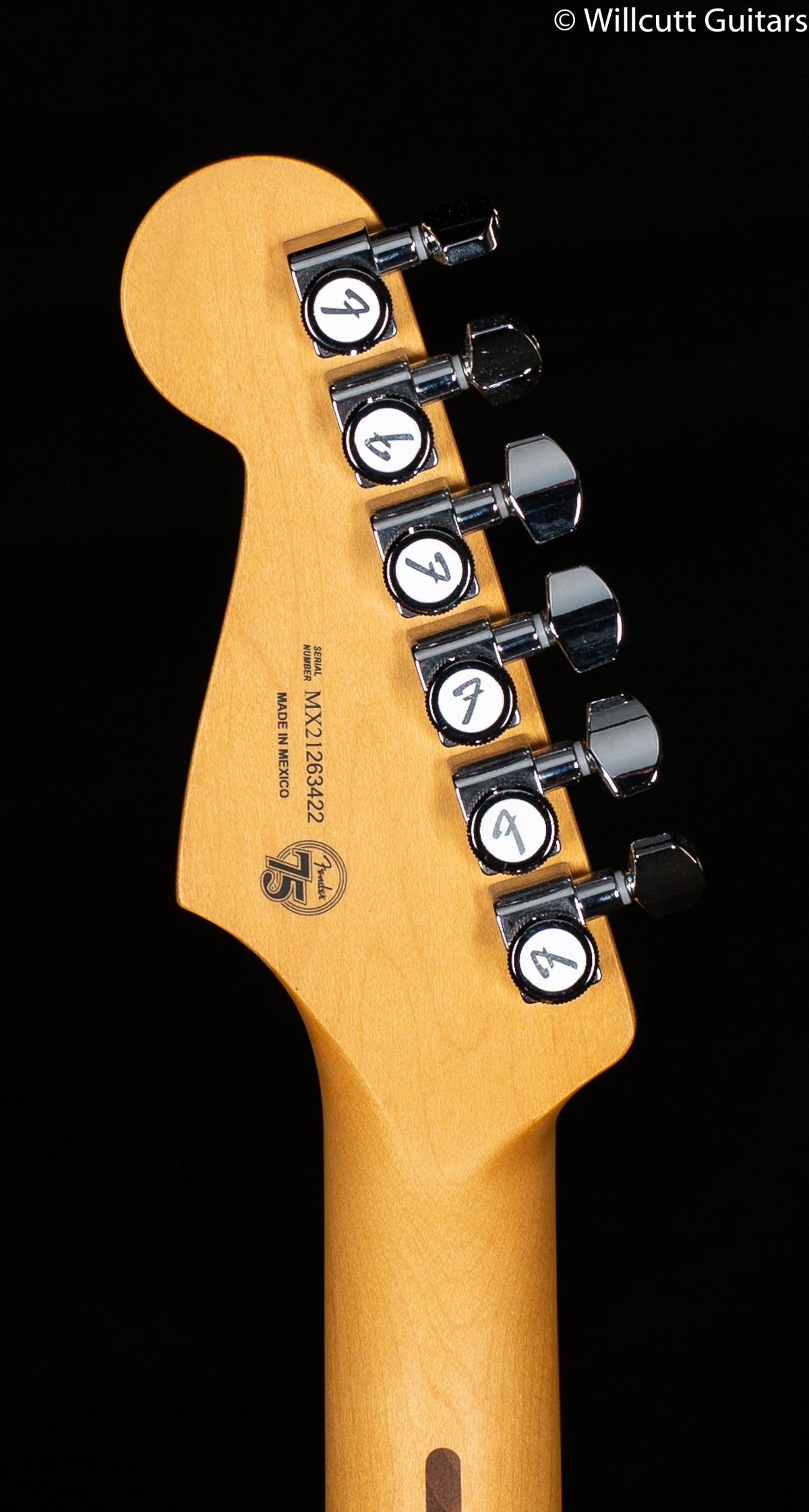 Fender Player Plus Stratocaster HSS Silverburst Pau Ferro Fingerboard (422)