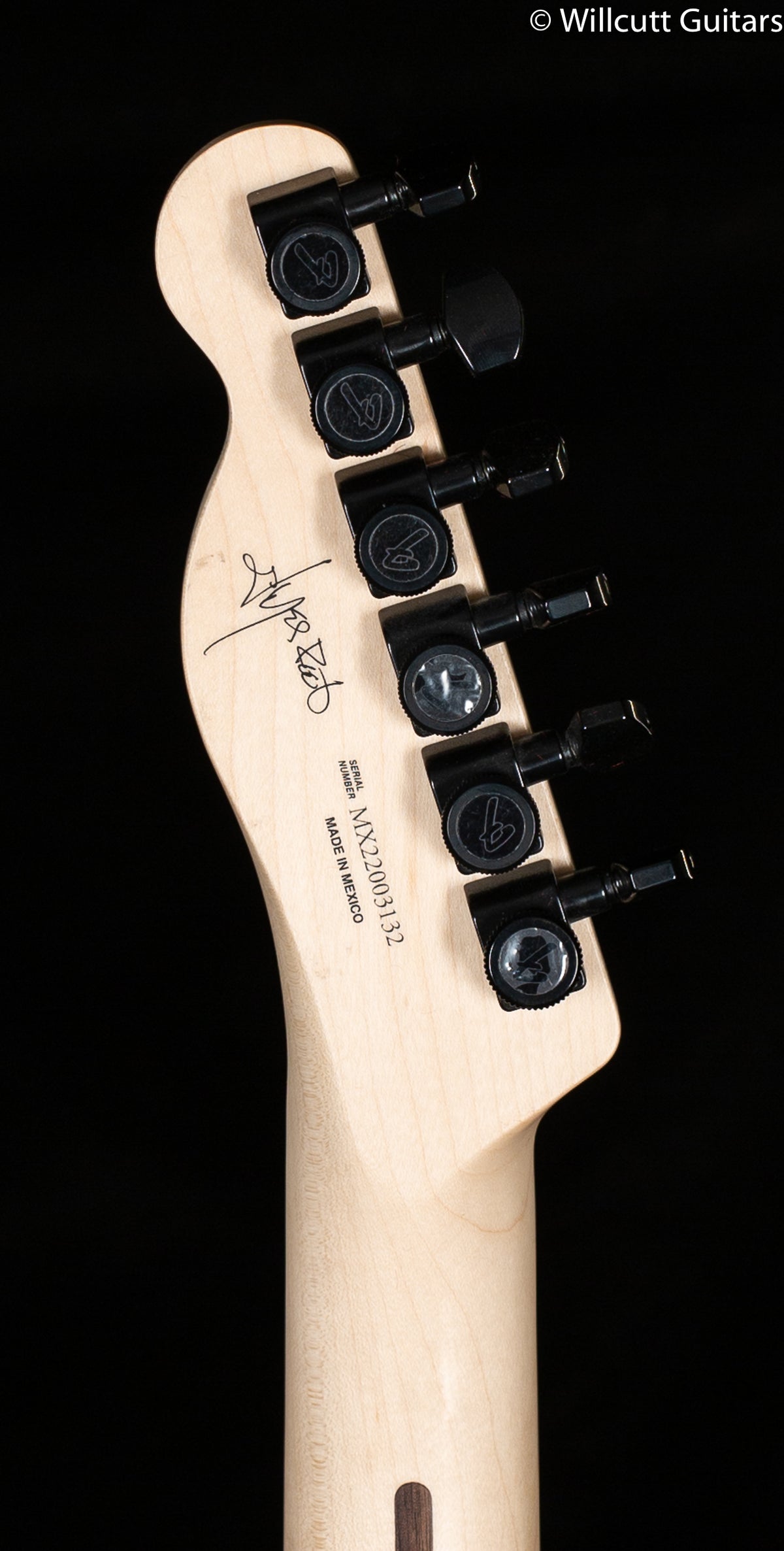 Fender Jim Root Telecaster Ebony White - Willcutt Guitars