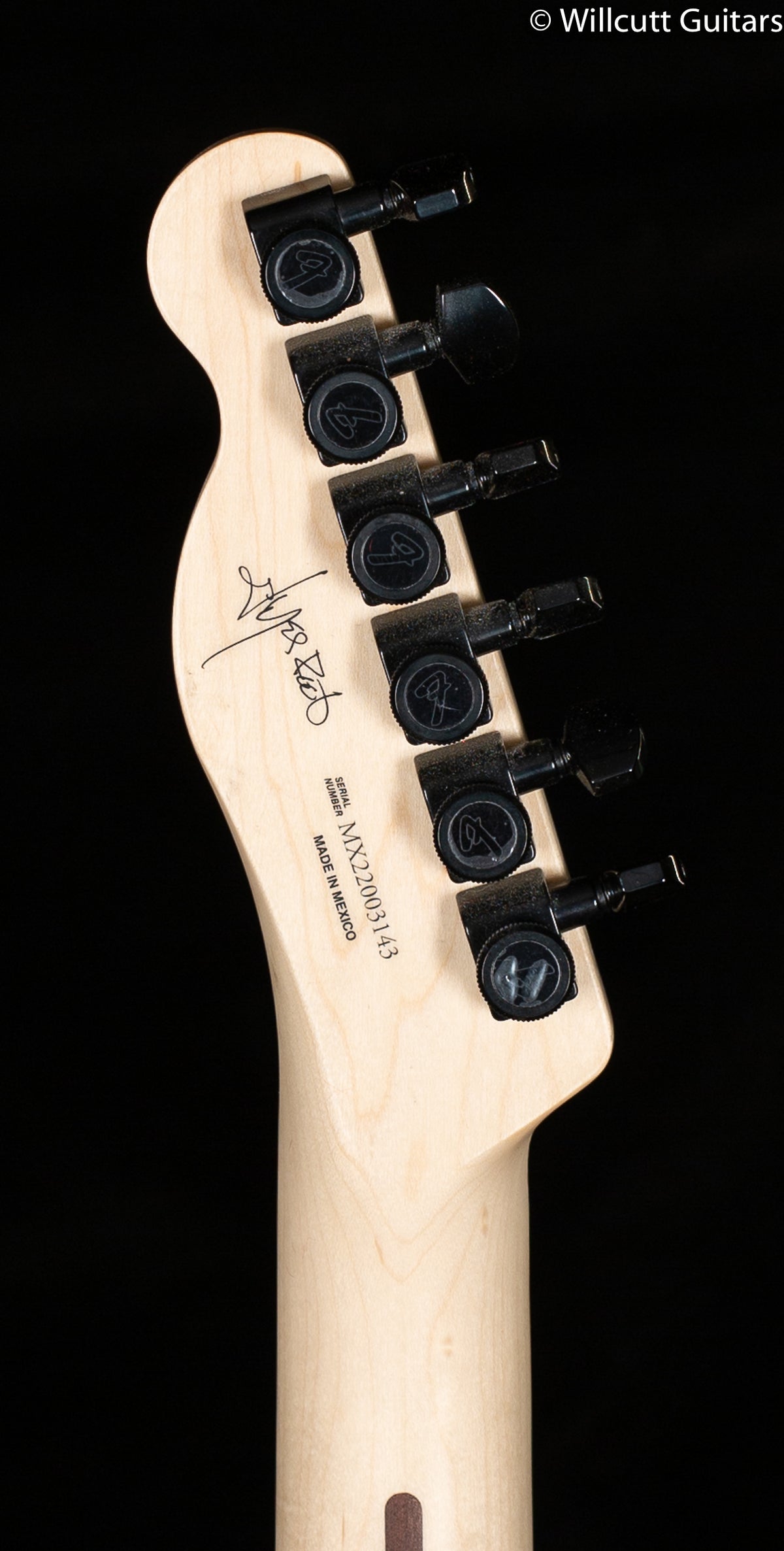 Fender Jim Root Telecaster Ebony White (143)