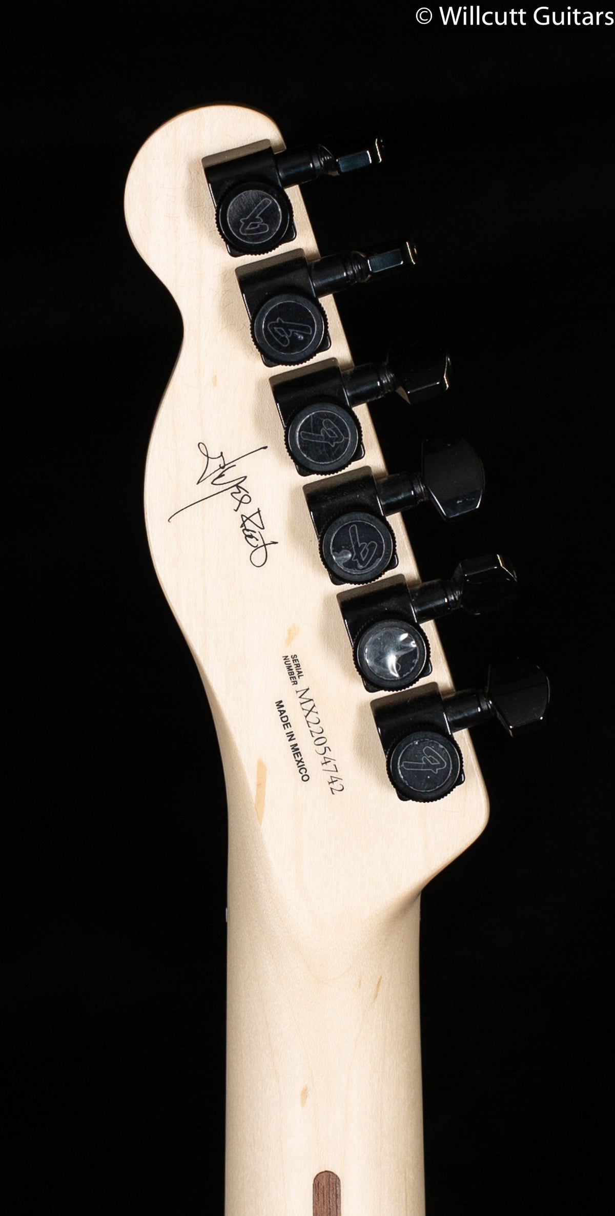 Fender Jim Root Telecaster Ebony White (742)