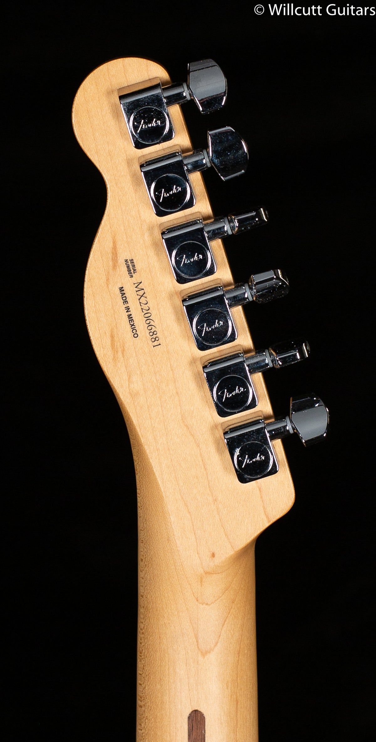 Fender Player Telecaster Butterscotch Blonde Maple