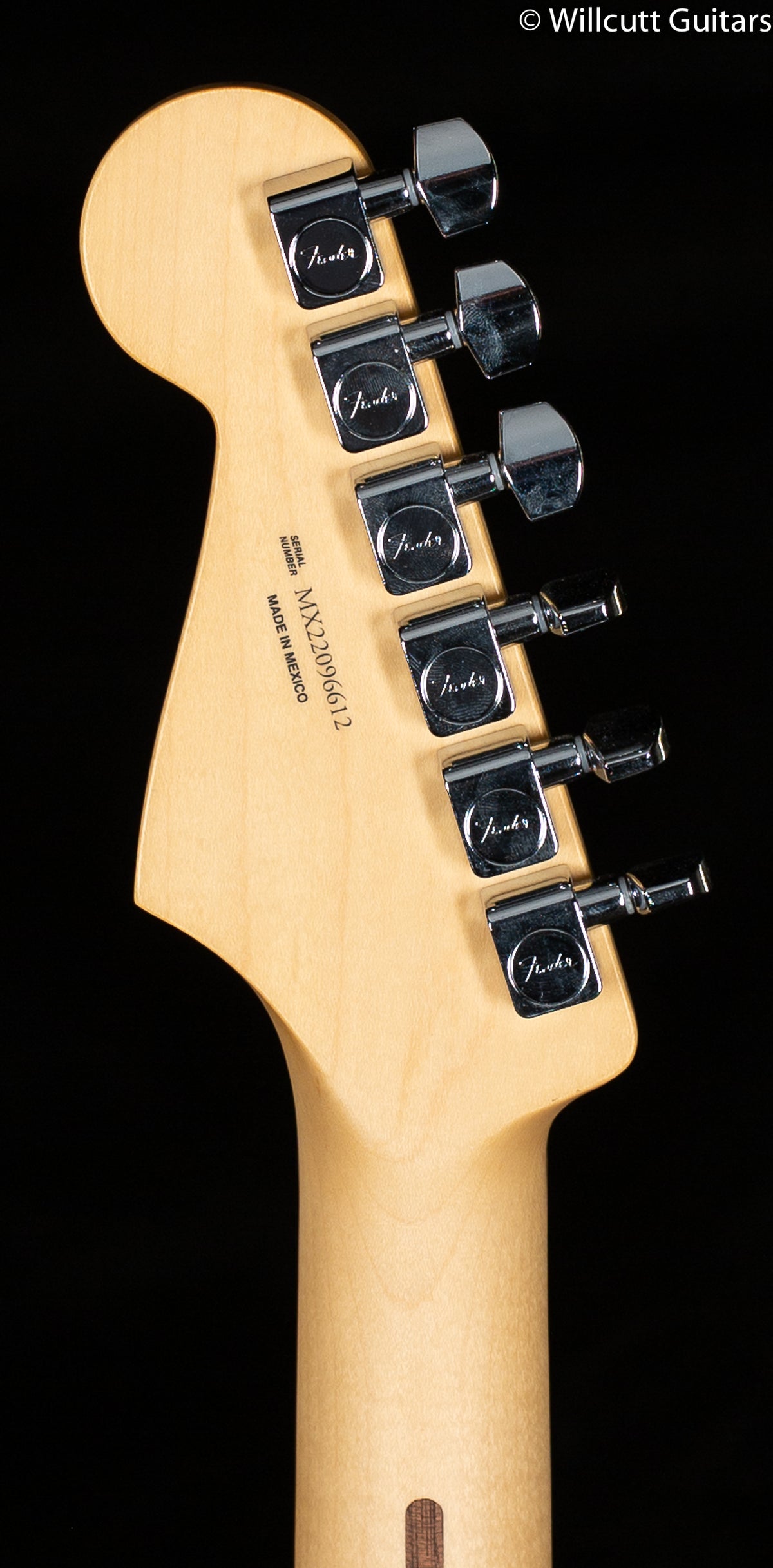 Fender Player Stratocaster Plus Top, Pau Ferro Fingerboard, Tobacco Sunburst (612)