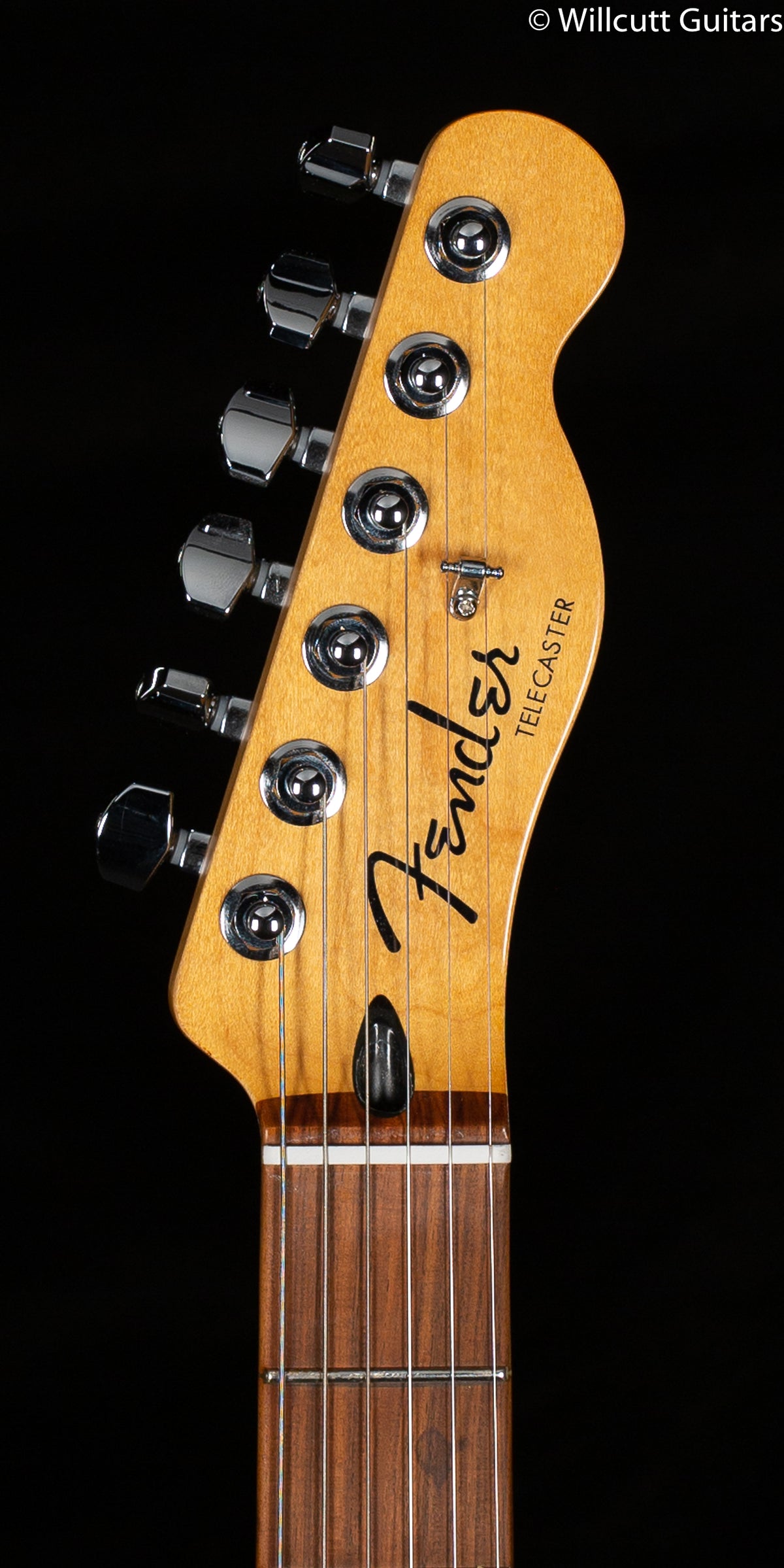 Fender Player Plus Telecaster Pau Ferro Fingerboard Silver Smoke (830)