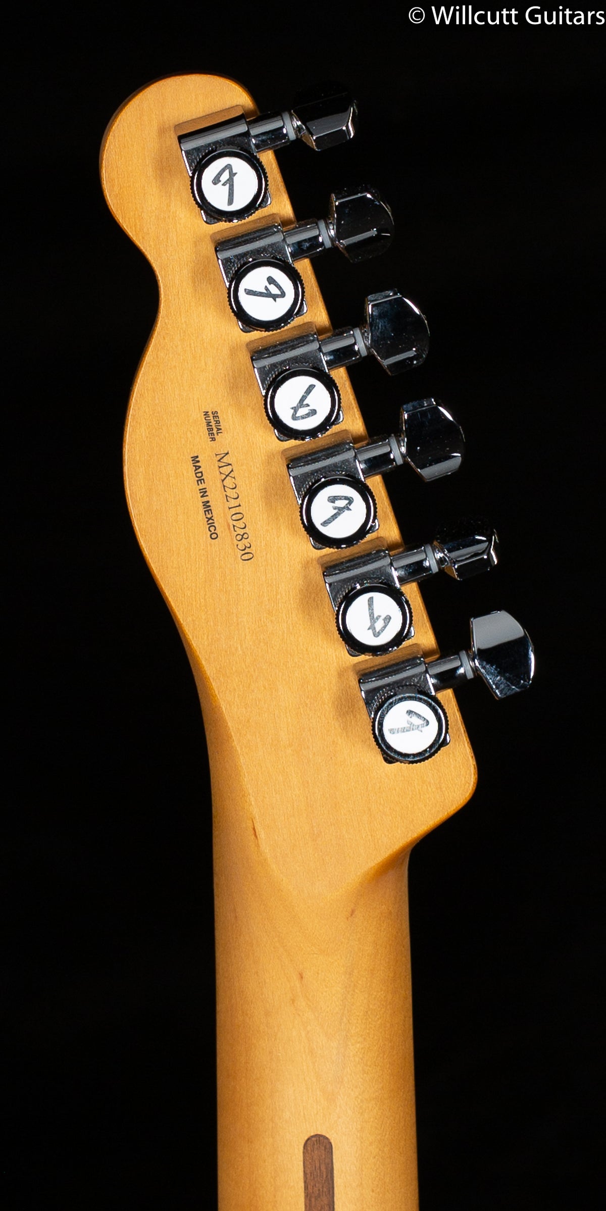 Fender Player Plus Telecaster Pau Ferro Fingerboard Silver Smoke (830)