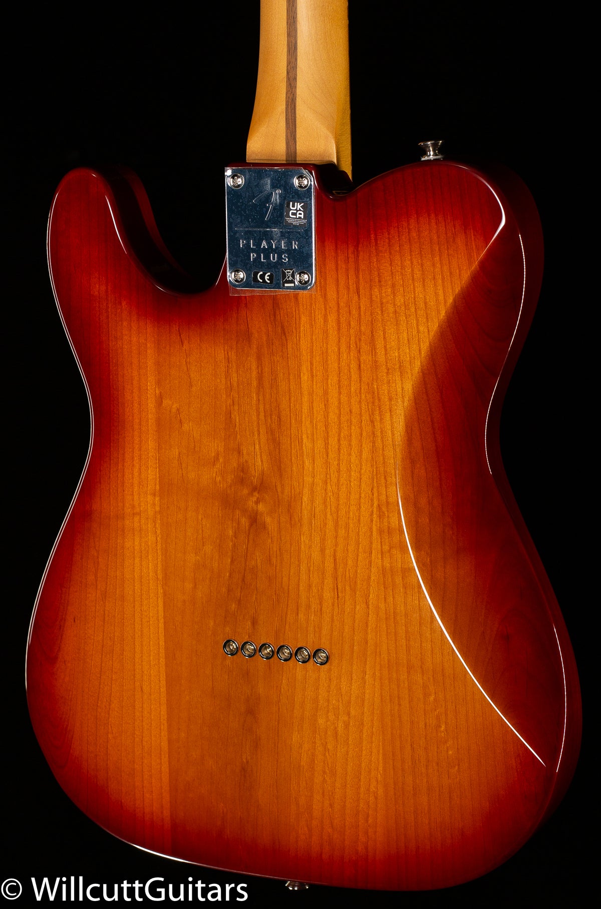 Fender Player Plus Nashville Telecaster Pau Ferro Fingerboard Sienna Sunburst (233)