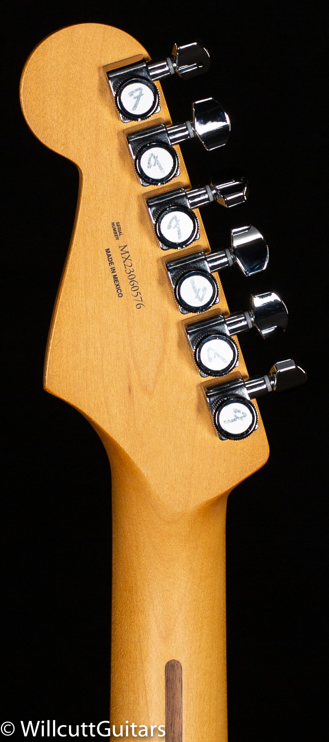 Fender Player Plus Stratocaster Pau Ferro Fingerboard Sienna Sunburst (576)