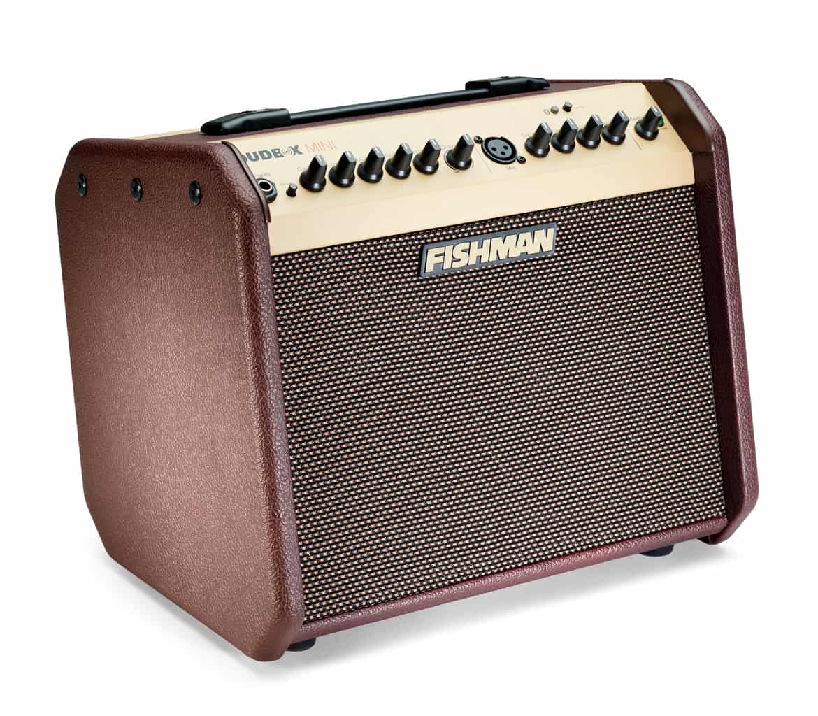 Fishman LOUDBOX MINI + BT, US 120V