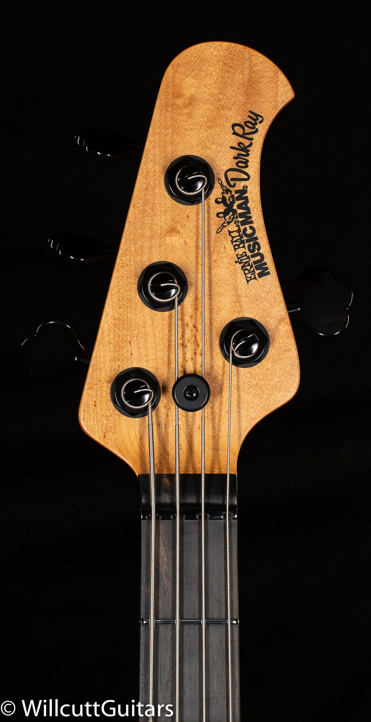 Ernie Ball Music Man DarkRay Starry Night (558)