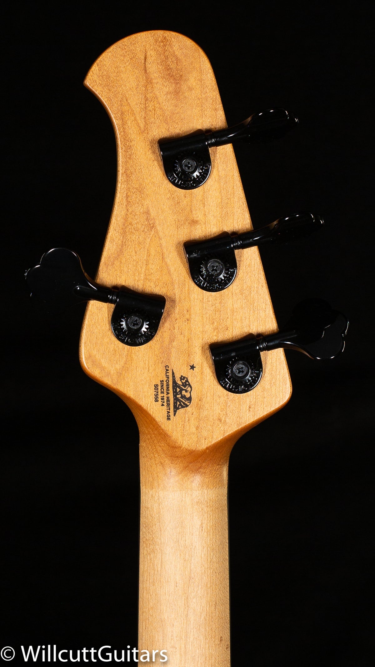 Ernie Ball Music Man DarkRay Starry Night (558)