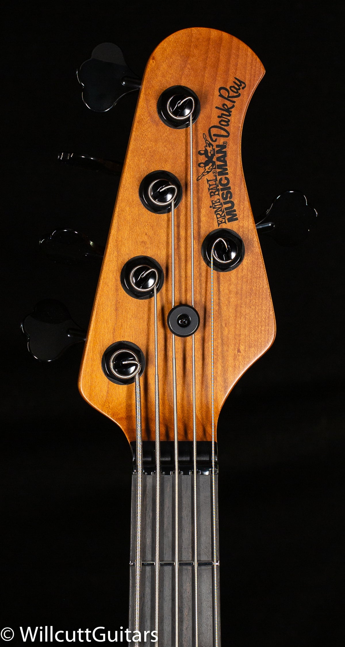Ernie Ball Music Man DarkRay 5 Starry Night (032) Bass Guitar