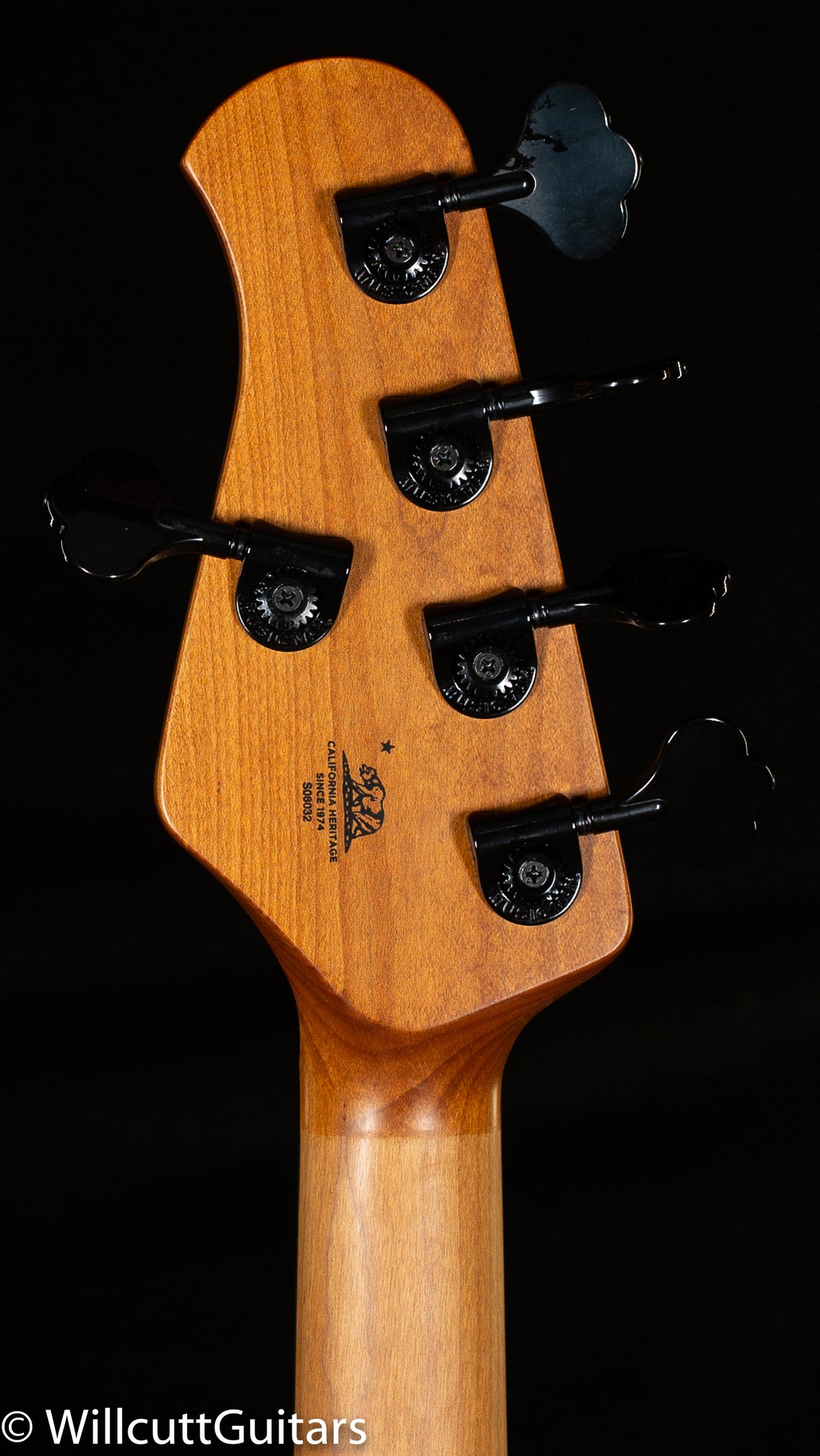 Ernie Ball Music Man DarkRay 5 Starry Night (032) Bass Guitar