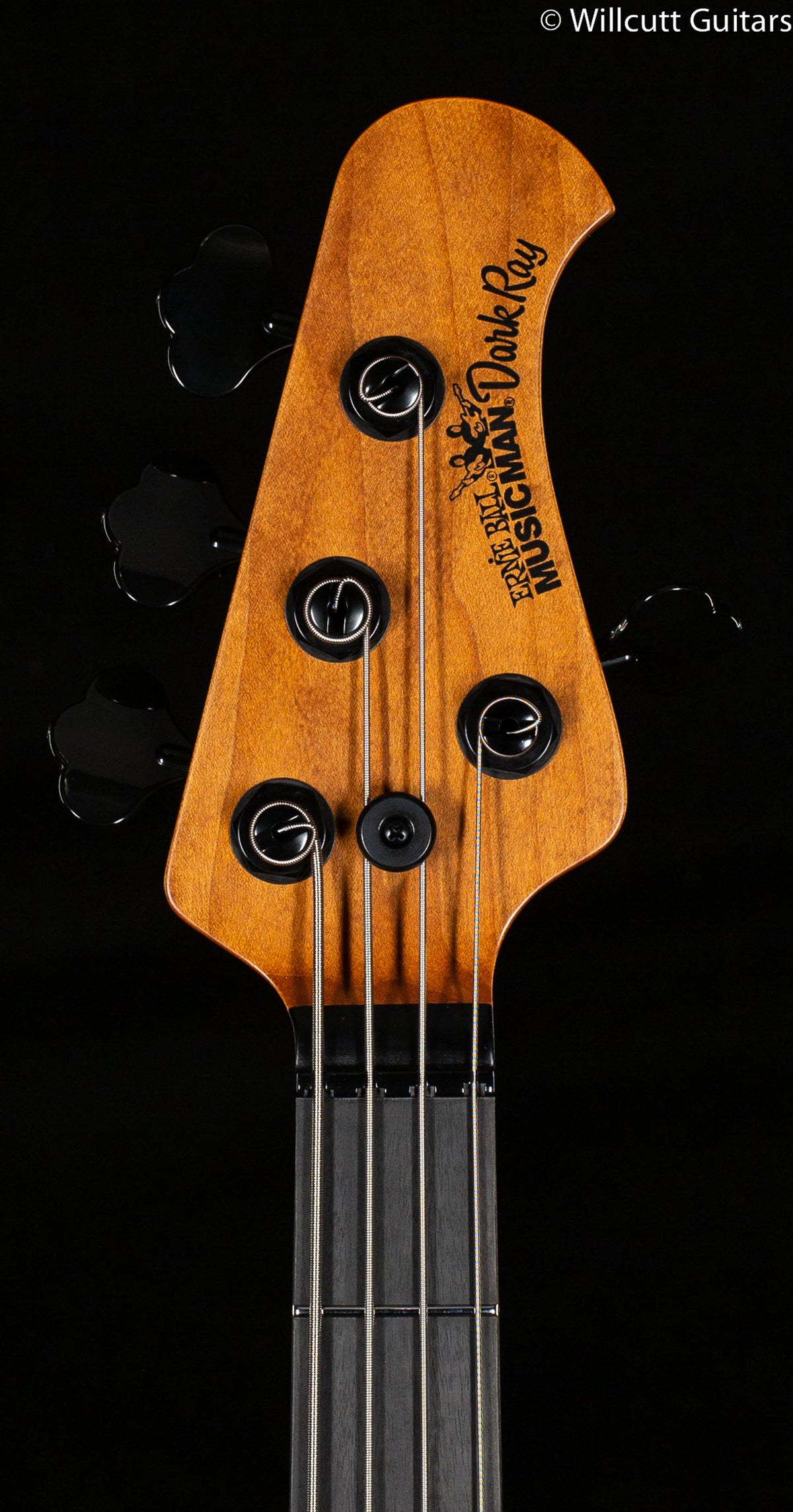 Ernie Ball Music Man Dark Ray Starry Night (174)