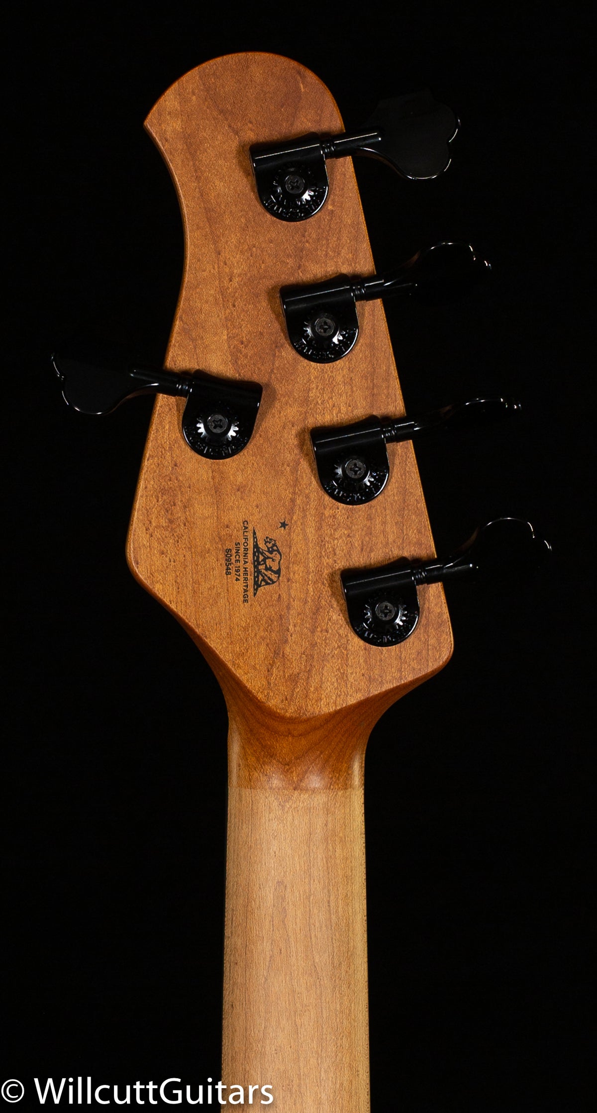 Ernie Ball Music Man DarkRay 5 Starry Night (548)