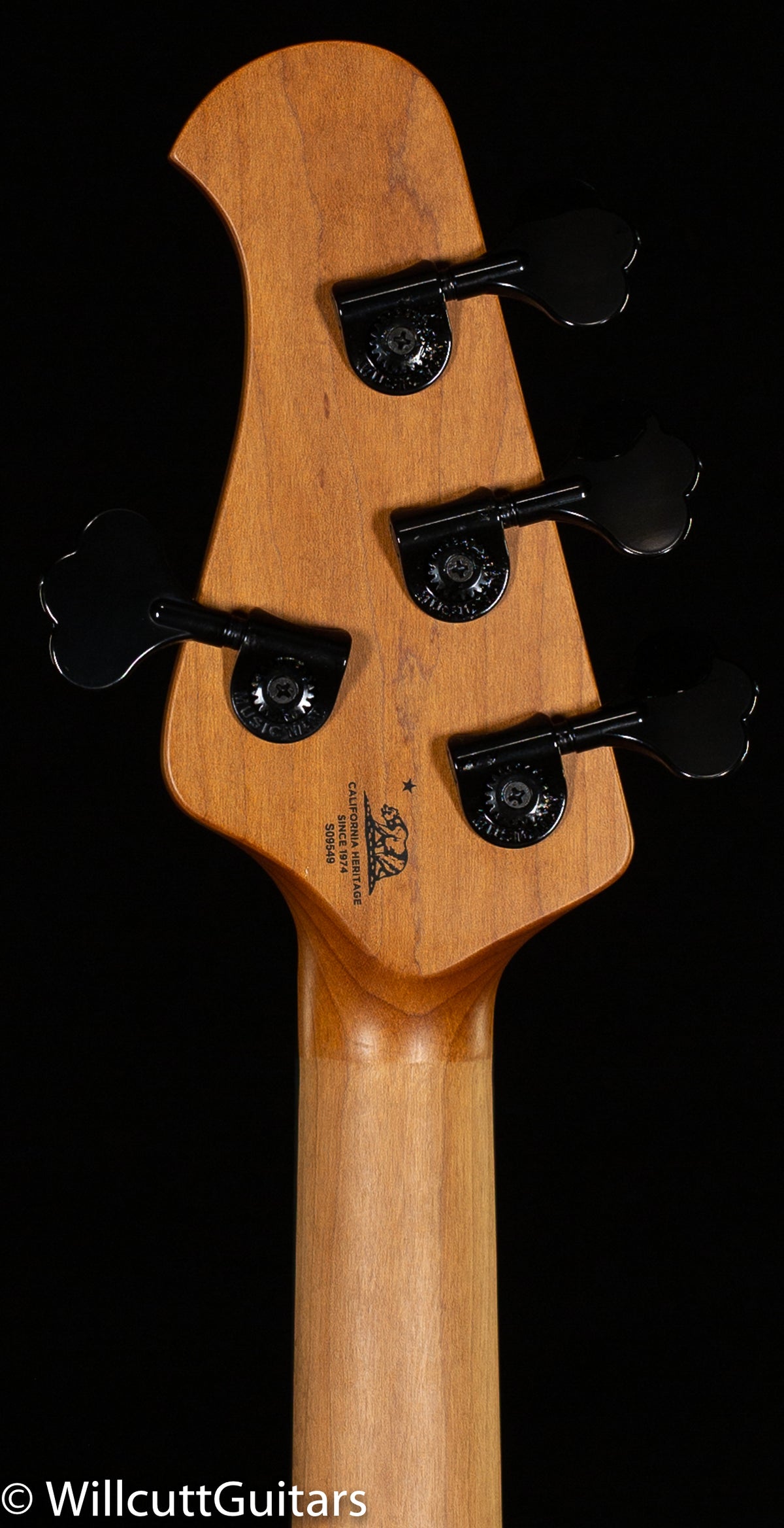 Ernie Ball Music Man DarkRay Starry Night (549)