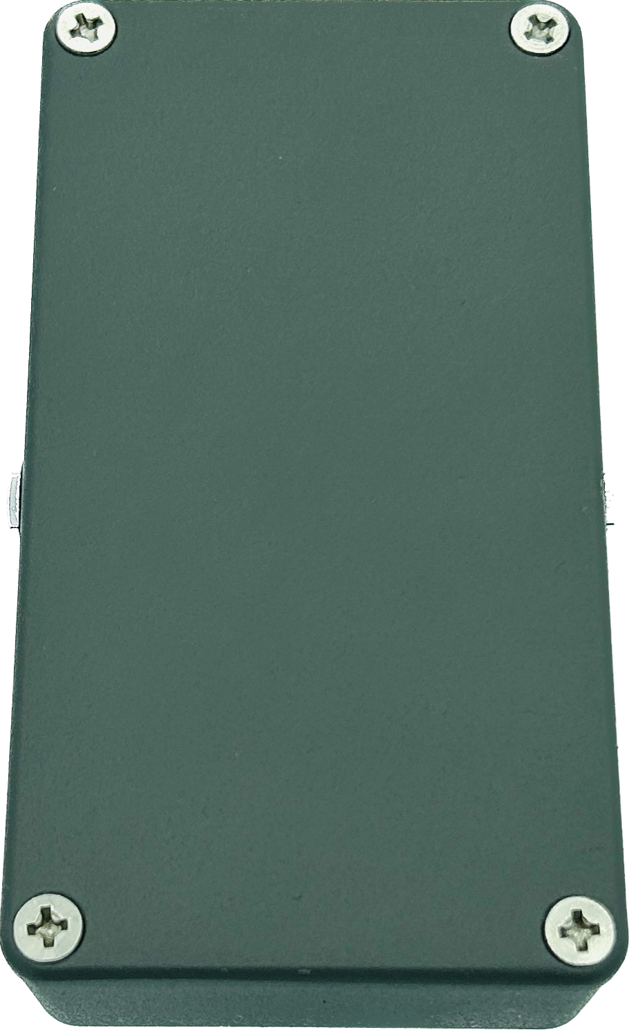 Catalinbread Belle Epoch Tape Delay