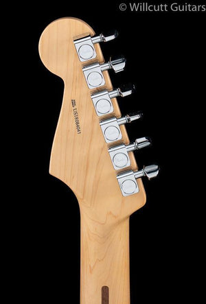 fender-limited-edition-american-professional-stratocaster-aged-natural-041