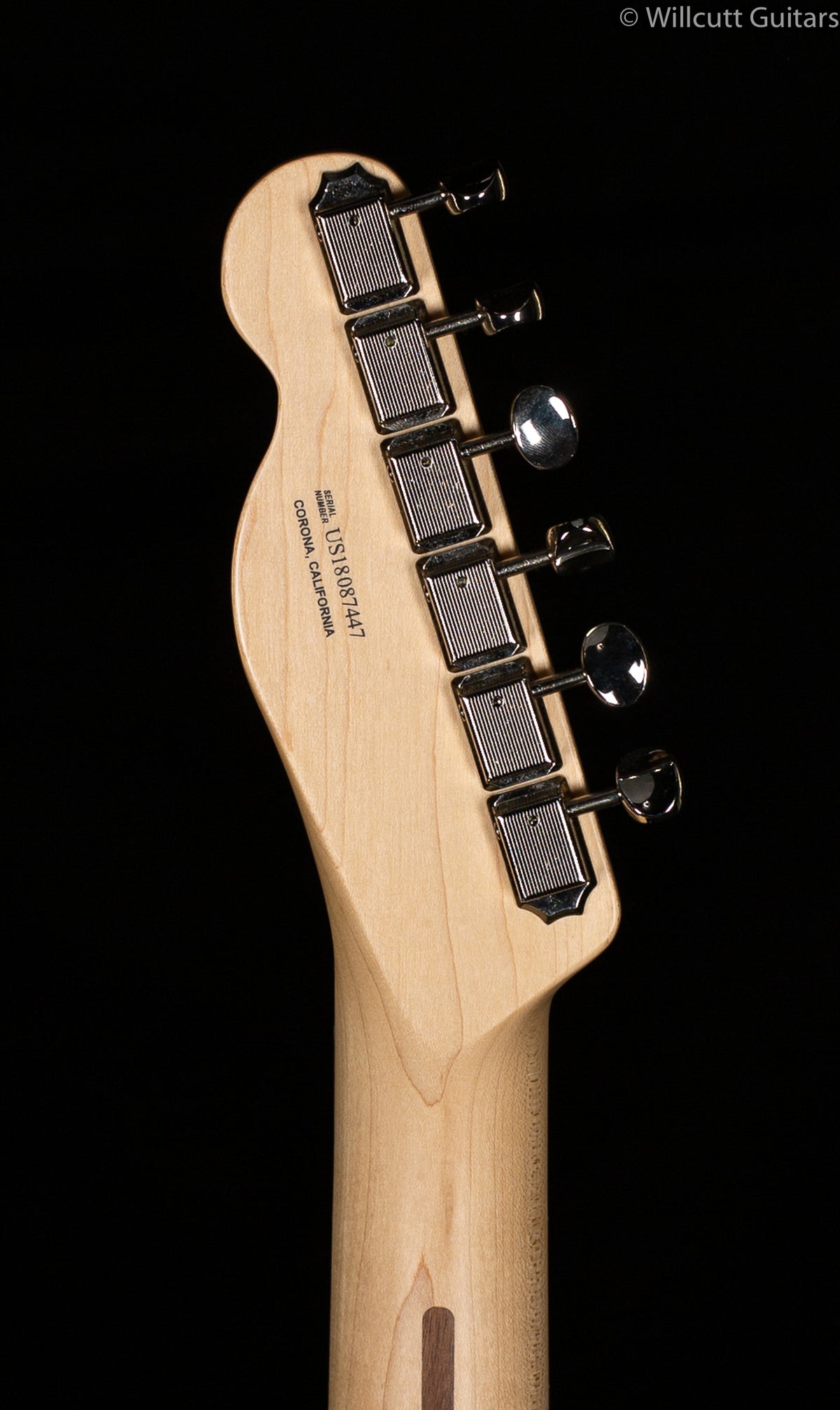 Fender American Performer Telecaster Penny DEMO