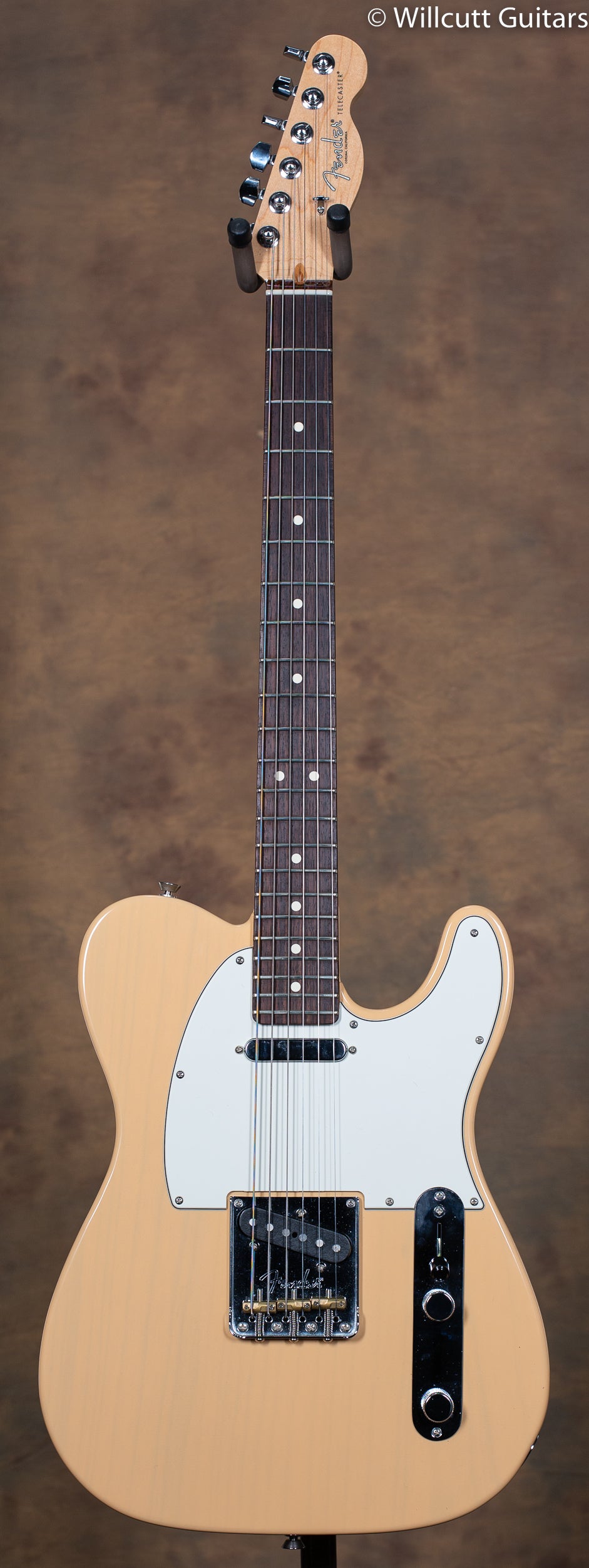 Fender Limited Edition American Professional Ash Tele Honey Blonde -  Willcutt Guitars