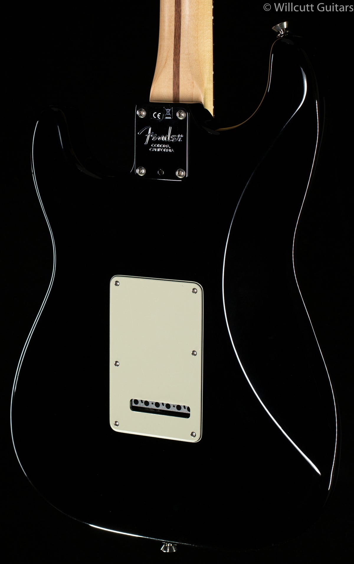 Fender American Professional Stratocaster Black Rosewood Fingerboard