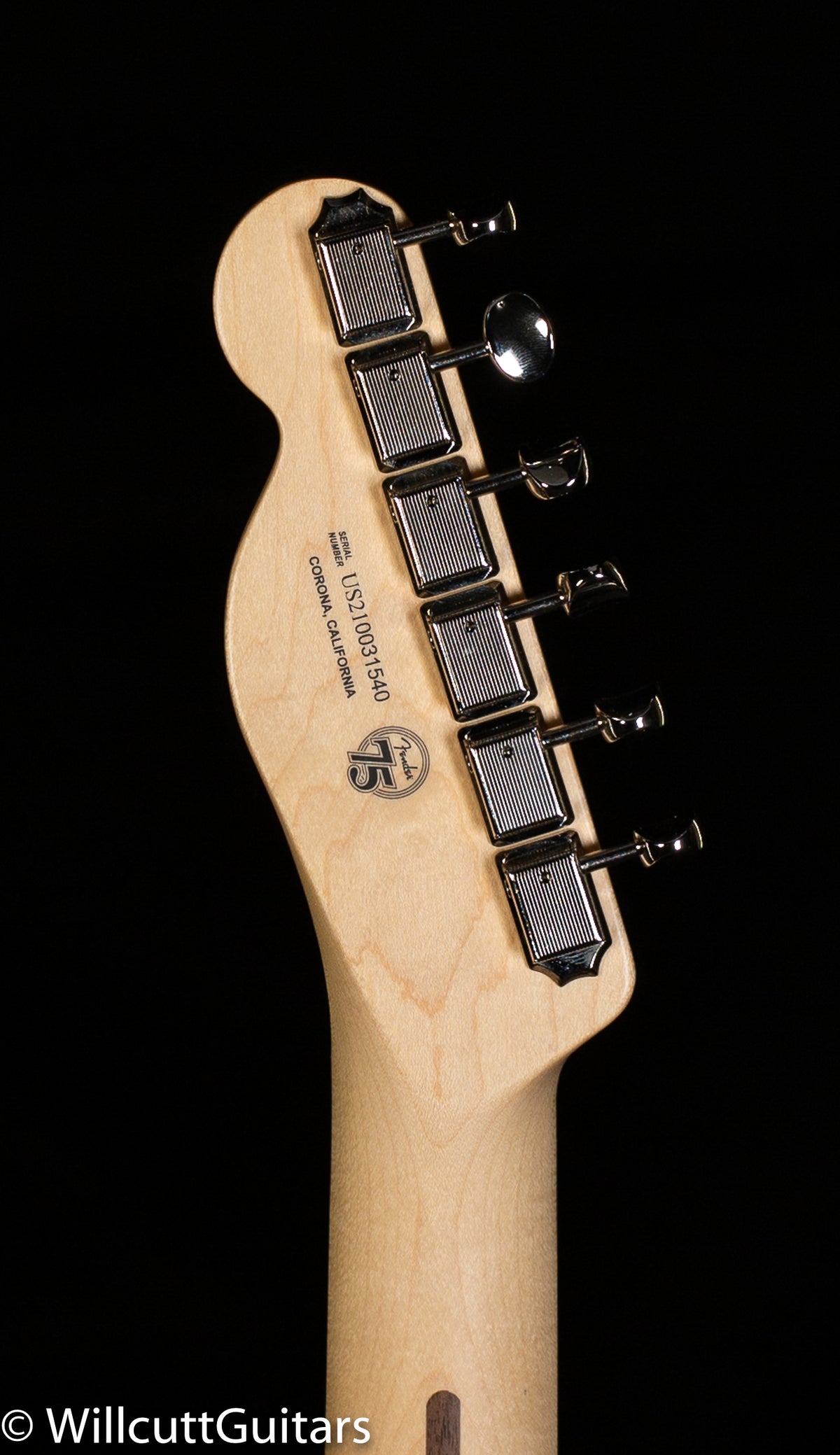 Fender American Performer Telecaster Honey Burst