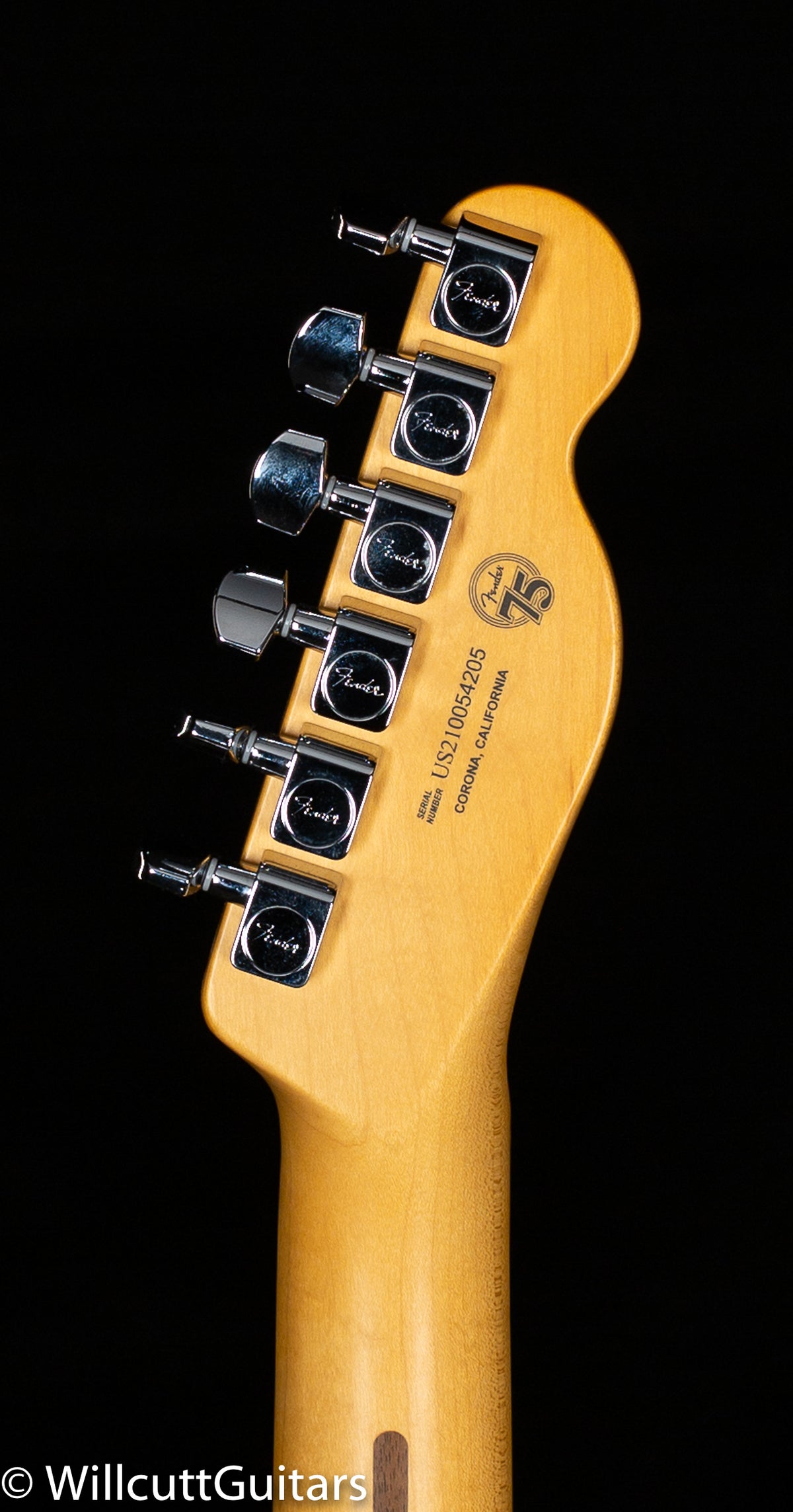 Fender American Professional II Telecaster Butterscotch Blonde Maple Fingerboard