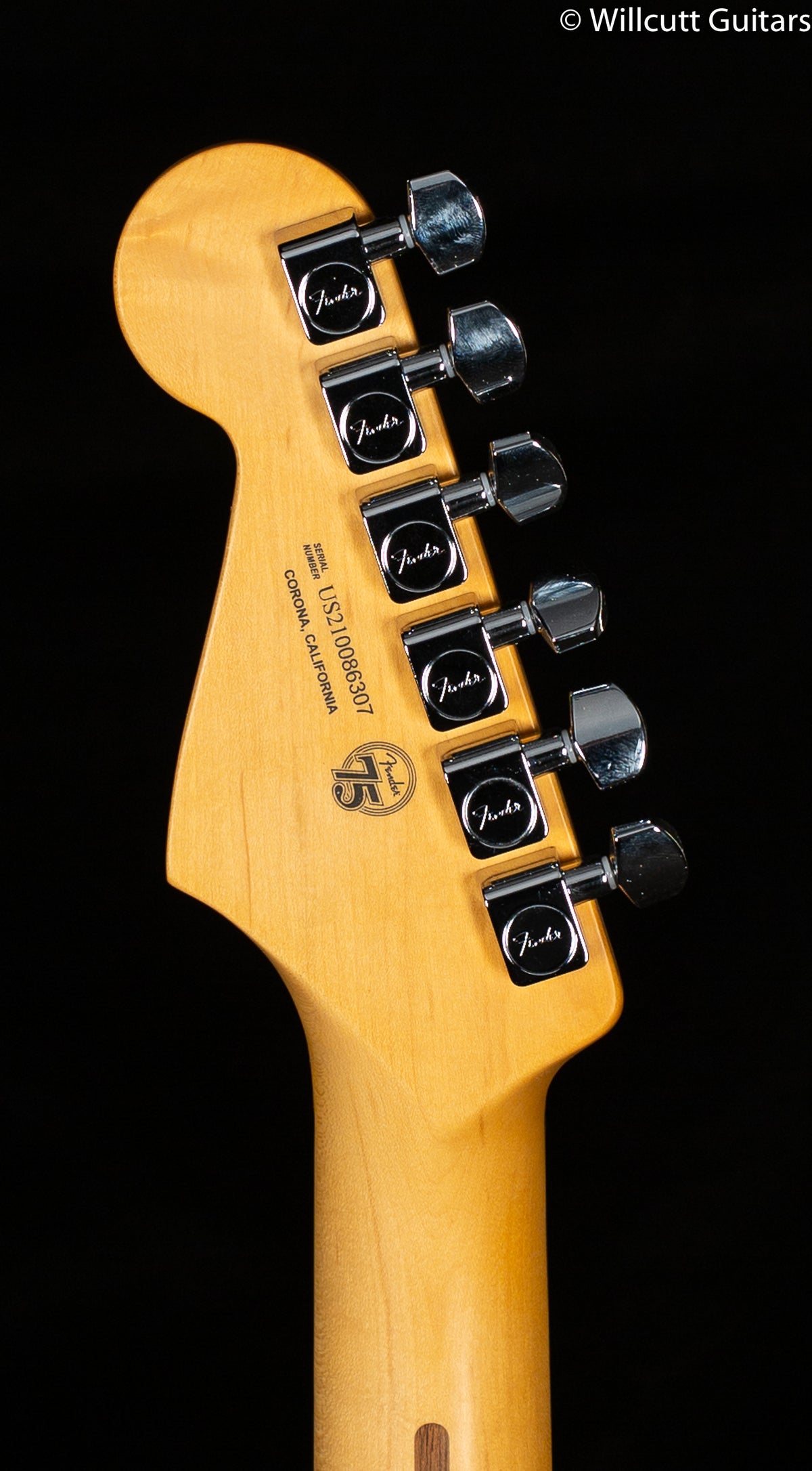 Fender American Professional II Stratocaster Miami Blue Rosewood Fingerboard (307)